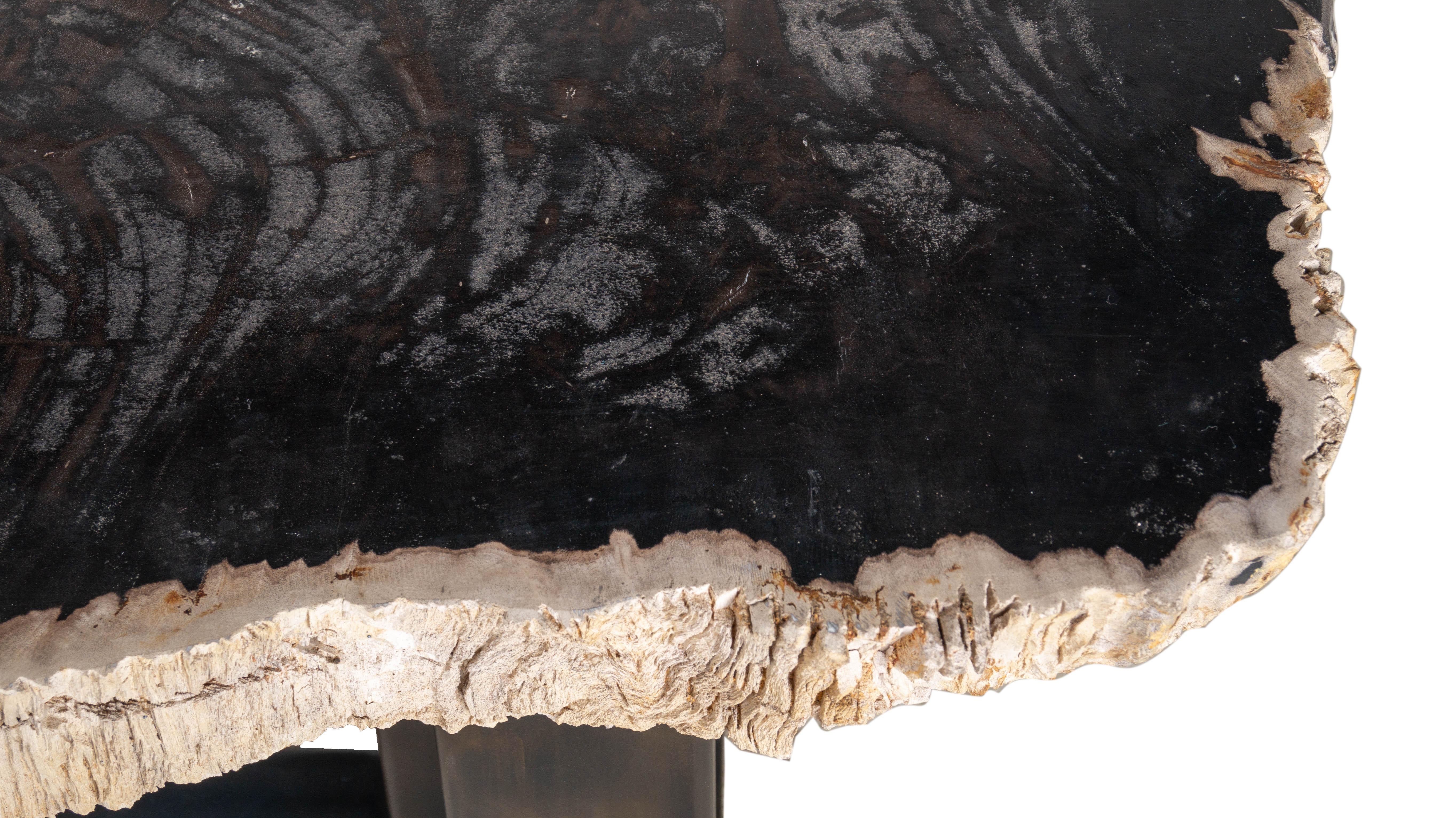 Steel Organic Modern Petrified Wood Coffee Table