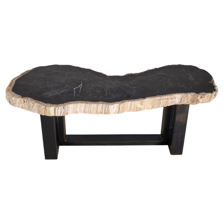Organic Modern Petrified Wood Coffee Table For Sale at 1stDibs