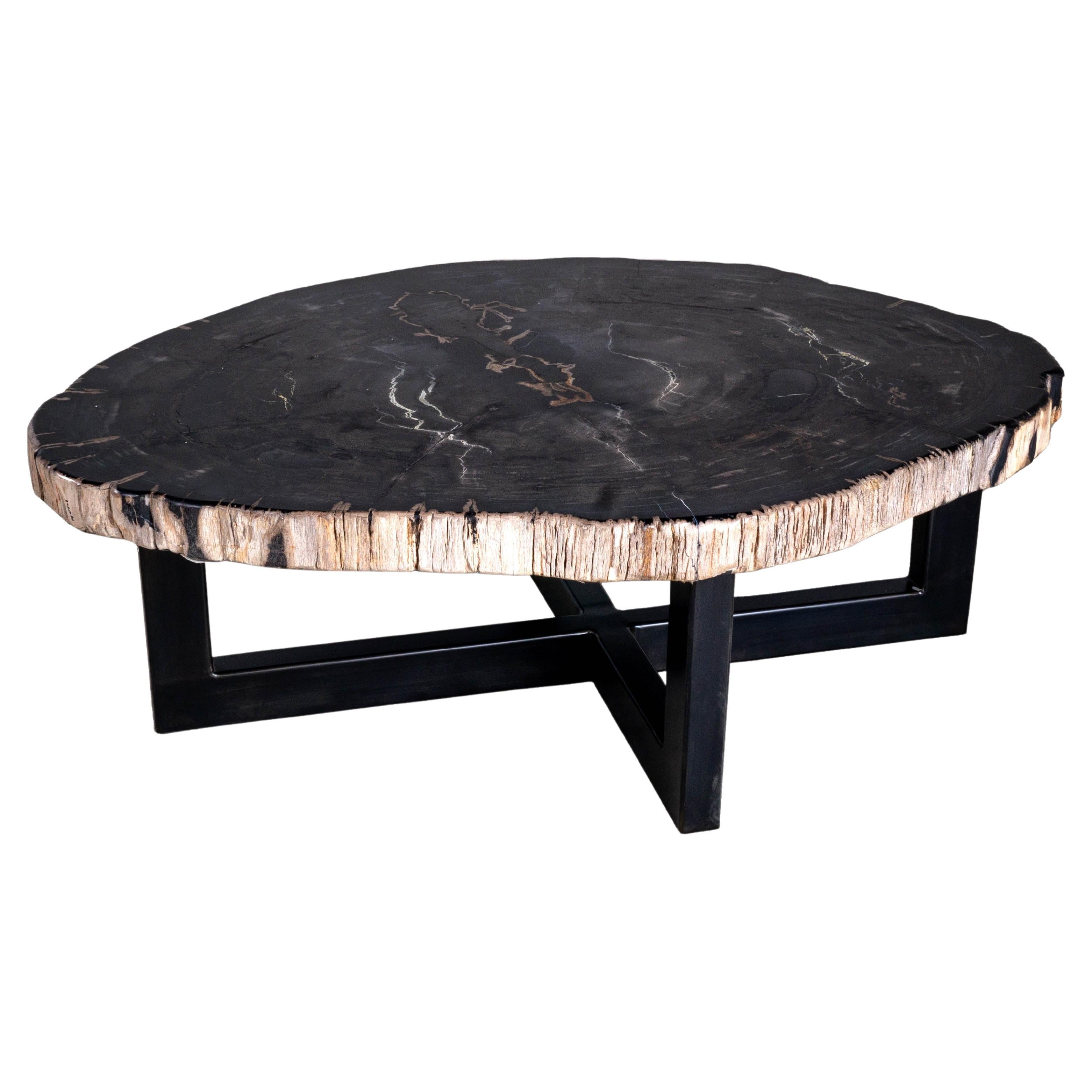 Organic Modern Petrified Wood Coffee Table For Sale