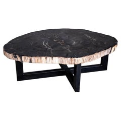 Organic Modern Petrified Wood Coffee Table