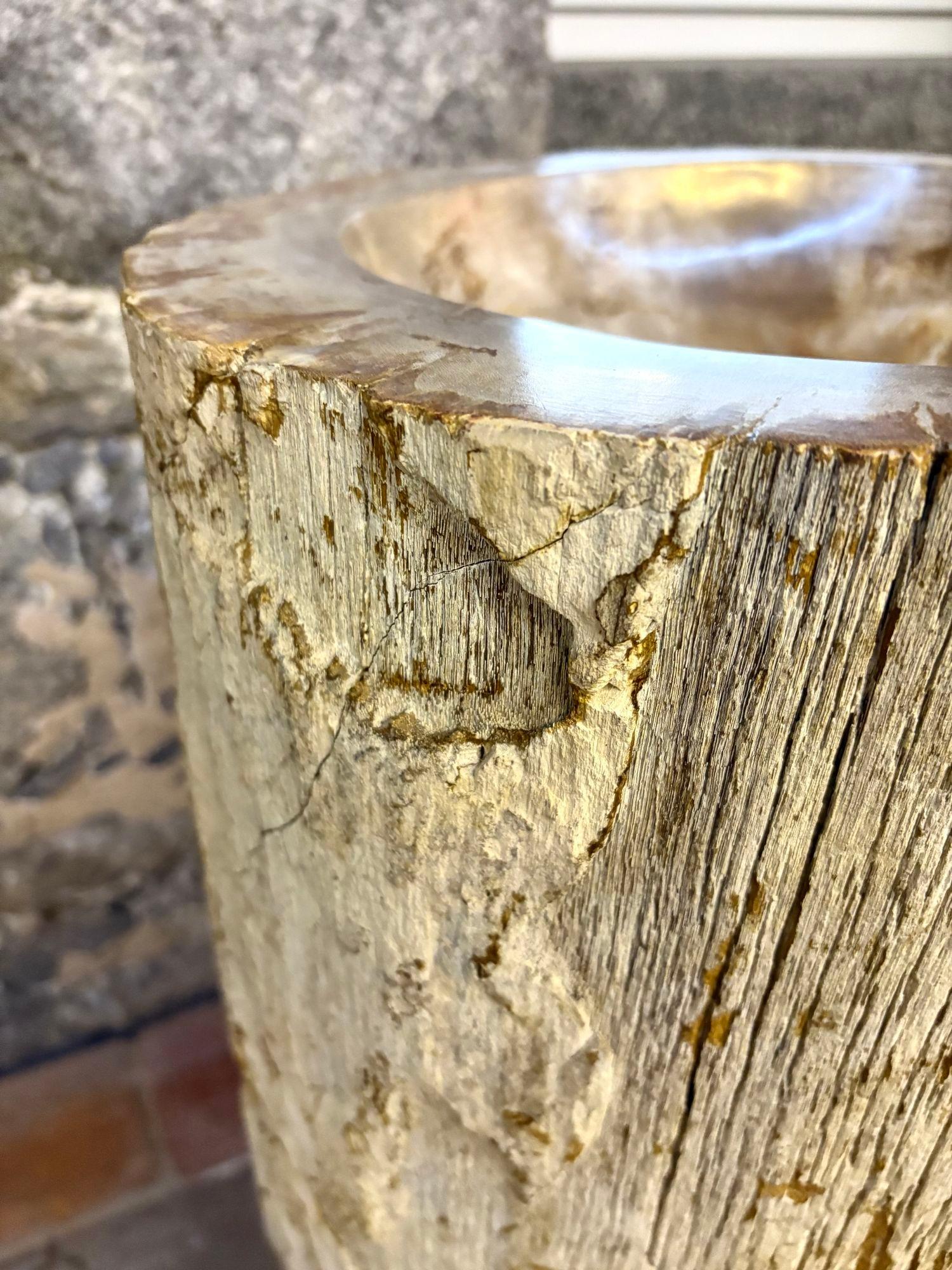 Fregadero moderno orgánico de pedestal de madera petrificada, IDN 2025 en venta 2