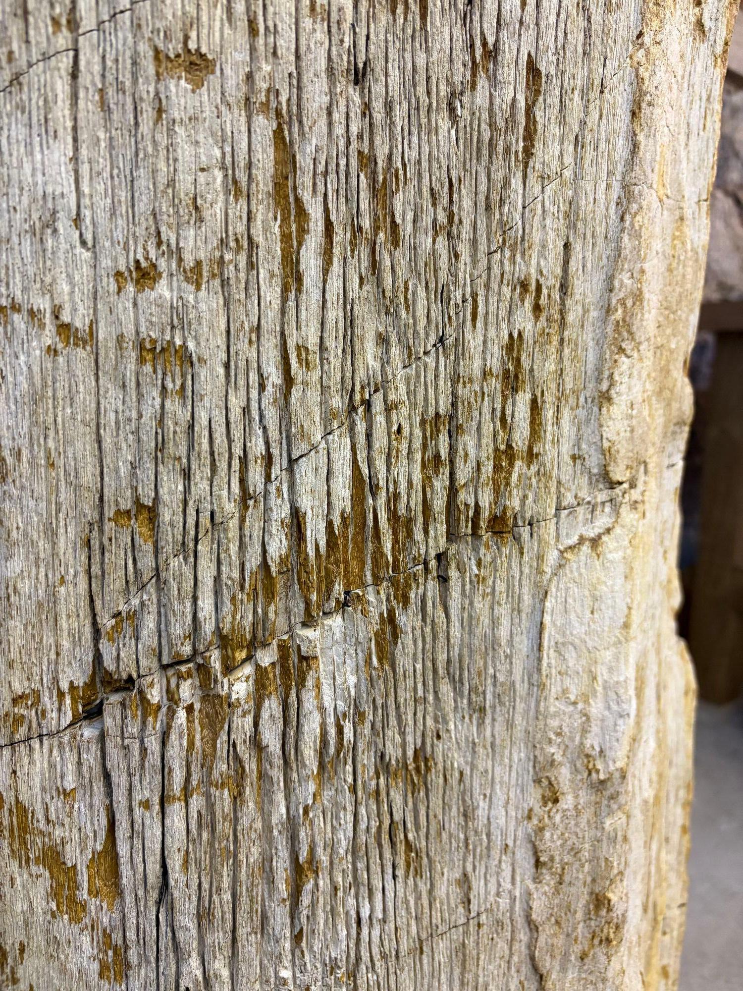Fregadero moderno orgánico de pedestal de madera petrificada, IDN 2025 en venta 3