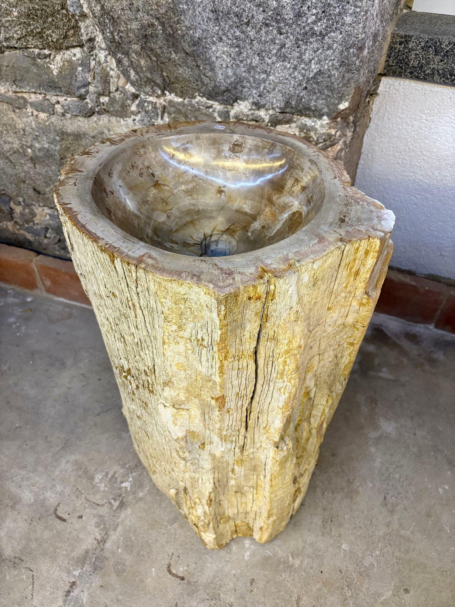Fregadero moderno orgánico de pedestal de madera petrificada, IDN 2025 en venta 5