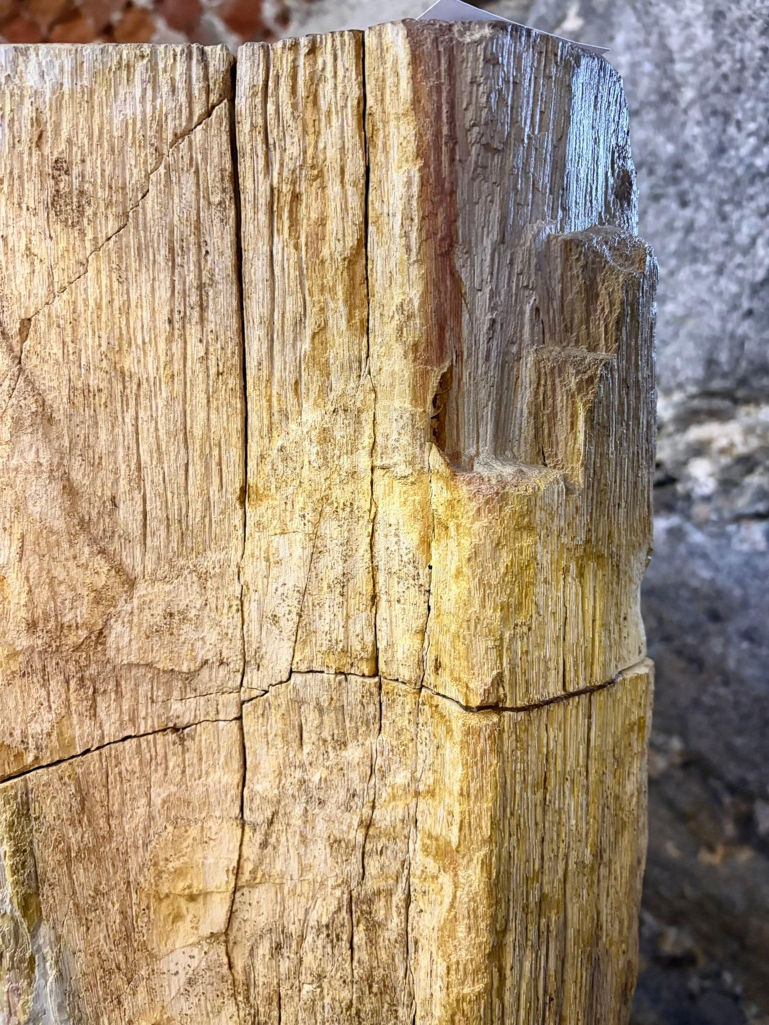 Fregadero moderno orgánico de pedestal de madera petrificada, IDN 2025 en venta 6