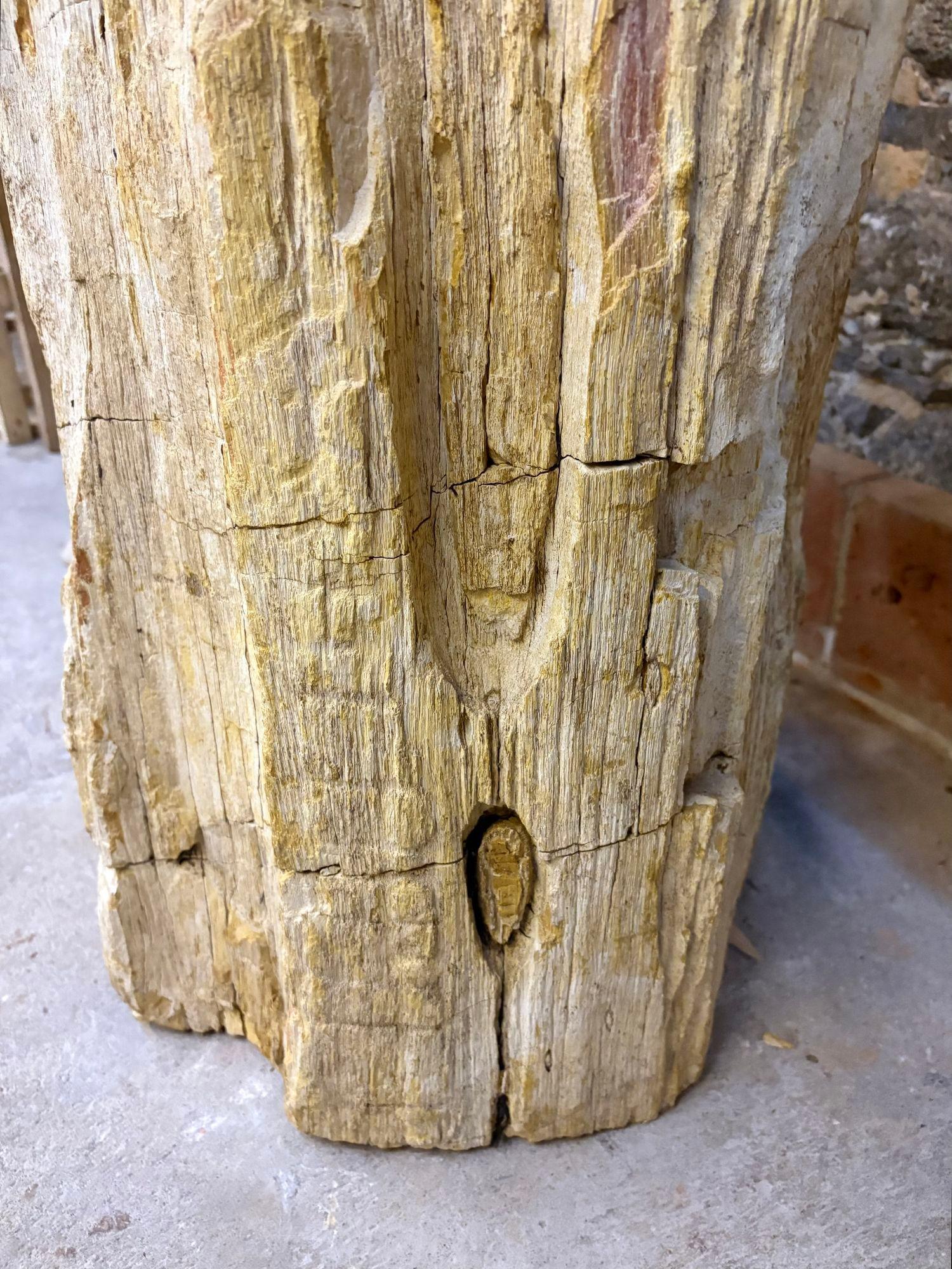 Fregadero moderno orgánico de pedestal de madera petrificada, IDN 2025 en venta 7