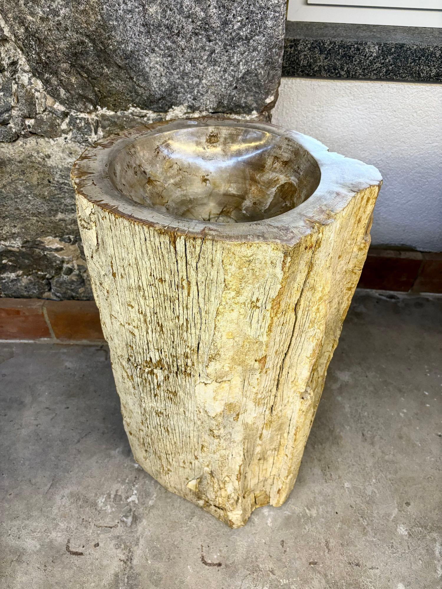 Una rareza absoluta es este lavabo de pedestal de madera petrificada, de aspecto increíble y recién fabricado. Creado por un artista de la isla de Java, en Indonesia, este extraordinario y orgánico lavabo moderno de pedestal impresiona por su