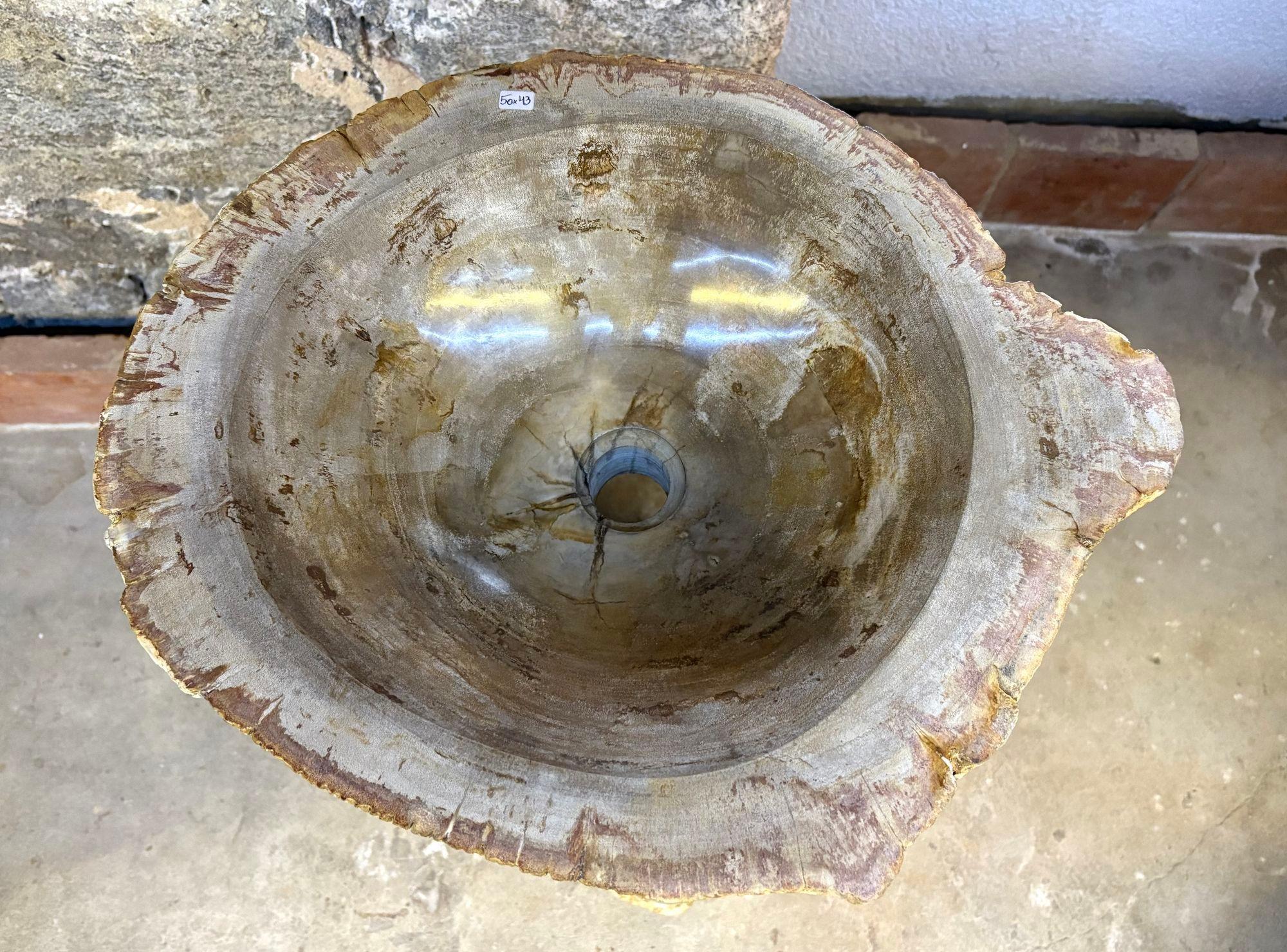 Fregadero moderno orgánico de pedestal de madera petrificada, IDN 2025 Moderno orgánico en venta