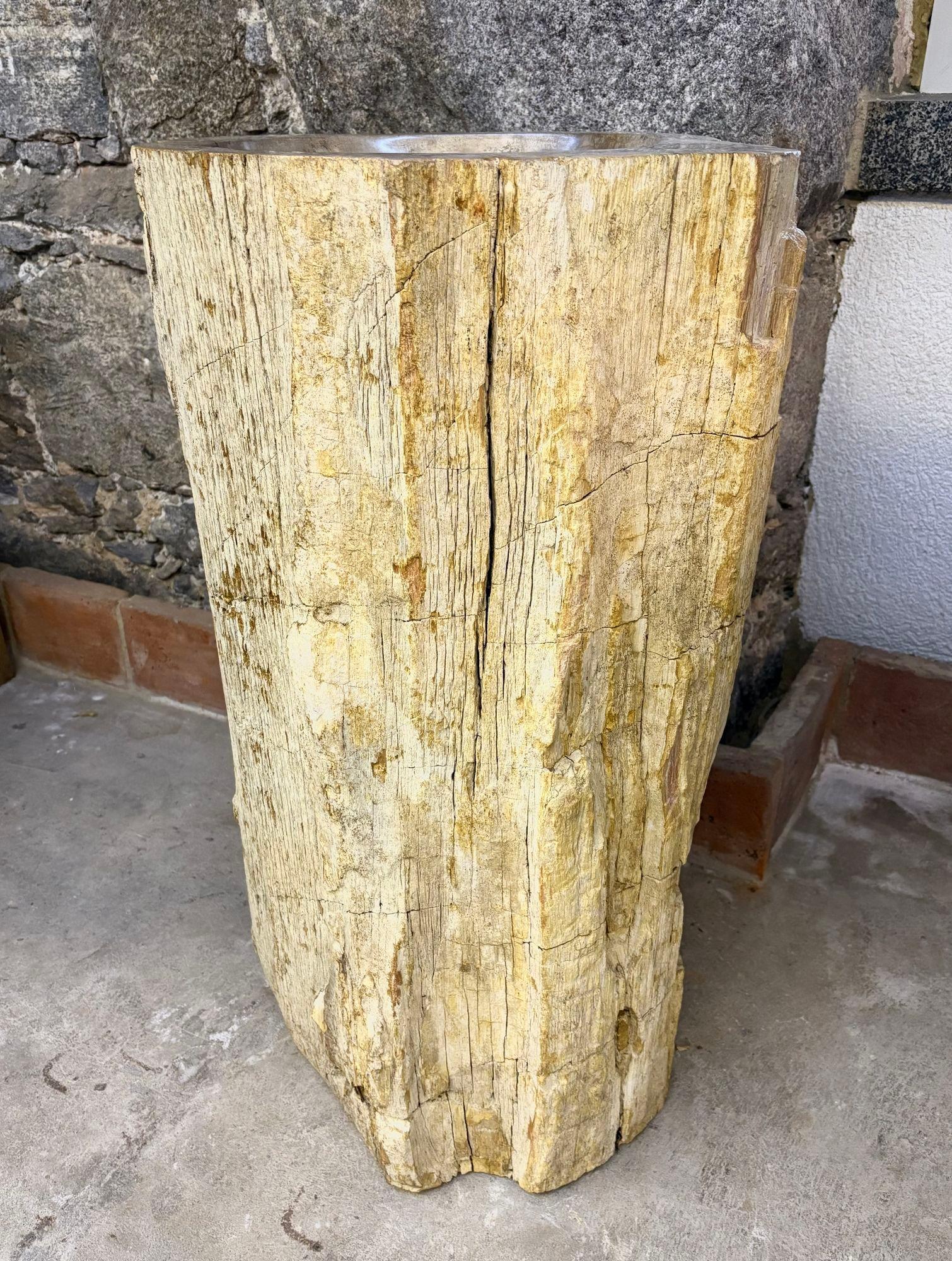 Fregadero moderno orgánico de pedestal de madera petrificada, IDN 2025 Indonesio en venta