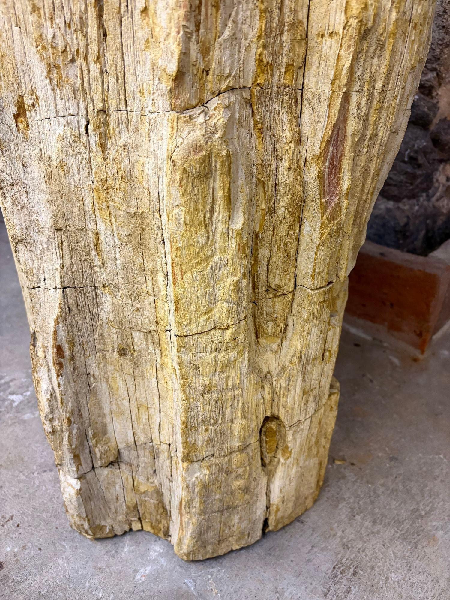 Fregadero moderno orgánico de pedestal de madera petrificada, IDN 2025 en venta 1