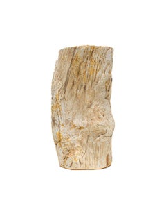 Organic Modern Petrified Wood Side Table with Crystal Quartz