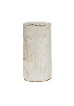 Organic Modern Petrified Wood Side Table with Pyrite