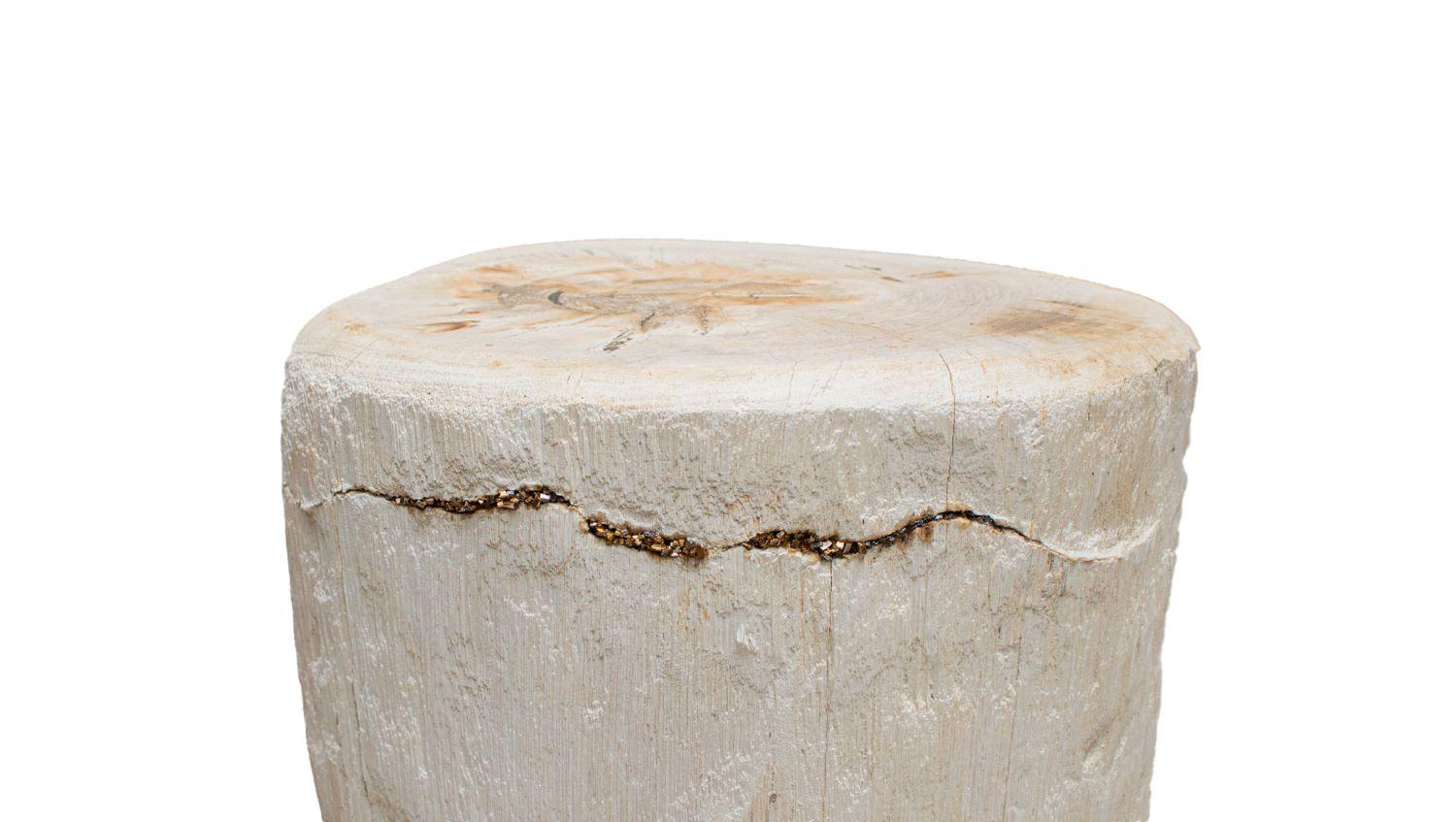 American Organic Modern Petrified Wood Side Table with Pyrite For Sale