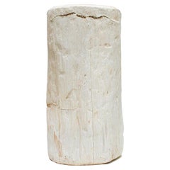 Beistelltisch aus versteinertem Holz mit Pyrit, Organische Moderne