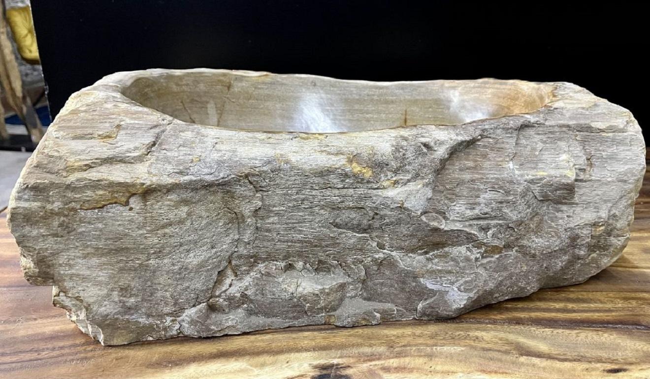 Extraordinary petrified wood sink in absolute top quality. This organic modern sink impresses with a great looking shape and lovely natural coloration in grey and beige/ brown tones which are incomparable. The inside of the sink shows a polished