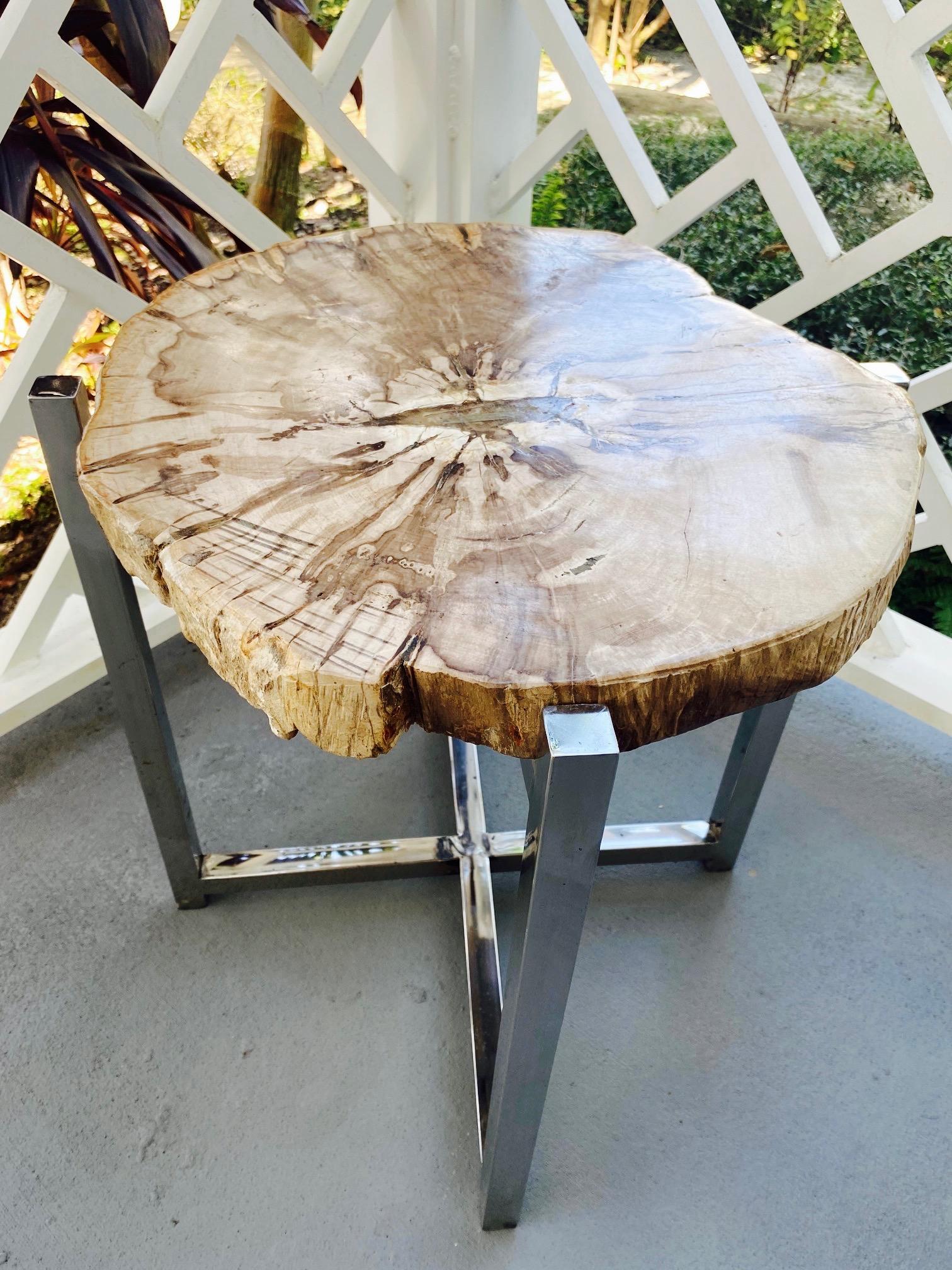 Organic Modern Petrified Wood Slab Side Table, Indonesia, circa 2018 2
