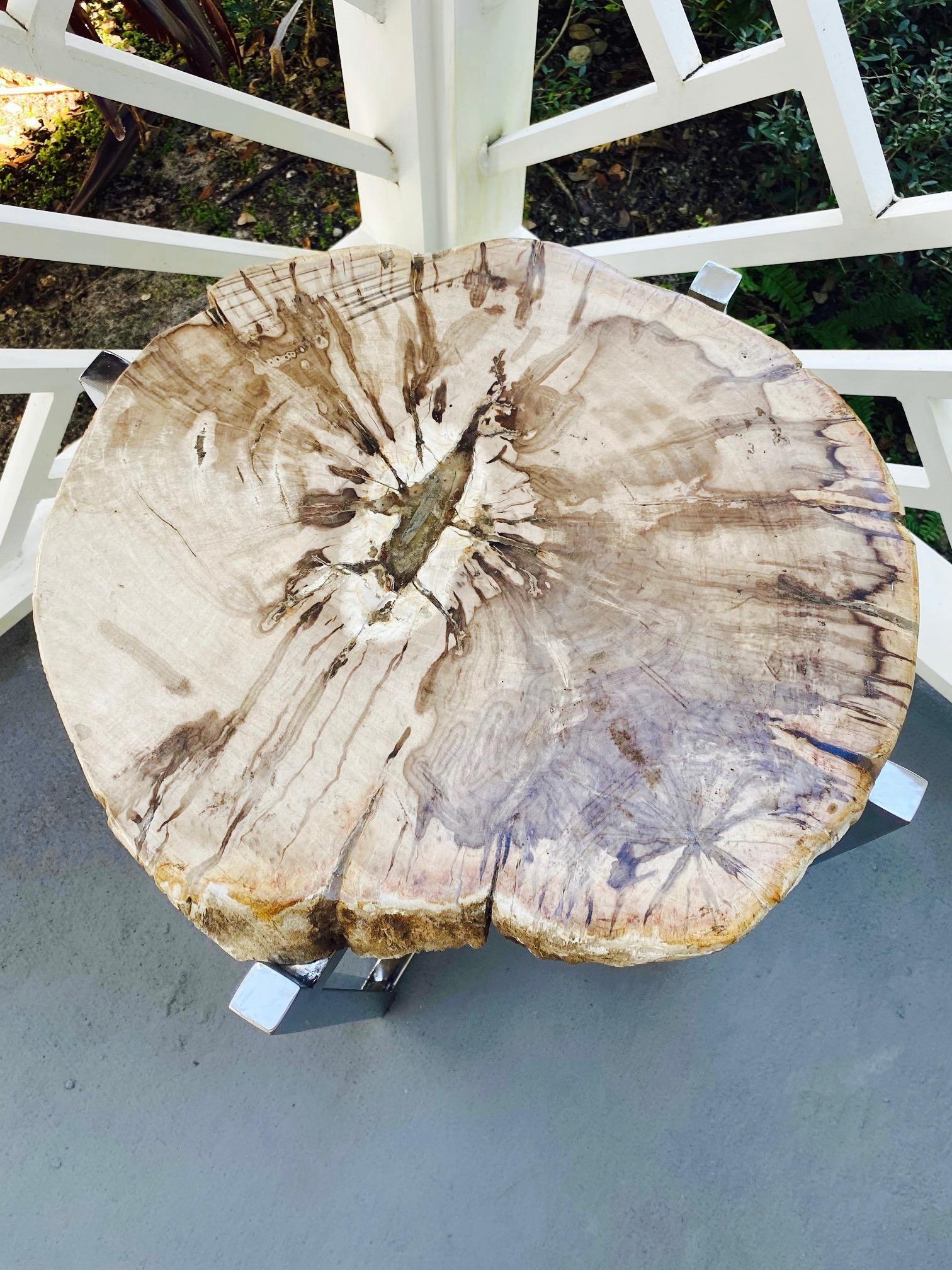 Organic modern side table comprised of a petrified wood slab over a Minimalist chrome metal base. Naturally fossilized throughout thousands of years. This rare piece features high quality handcut petrified wood with natural raw edges and a polished