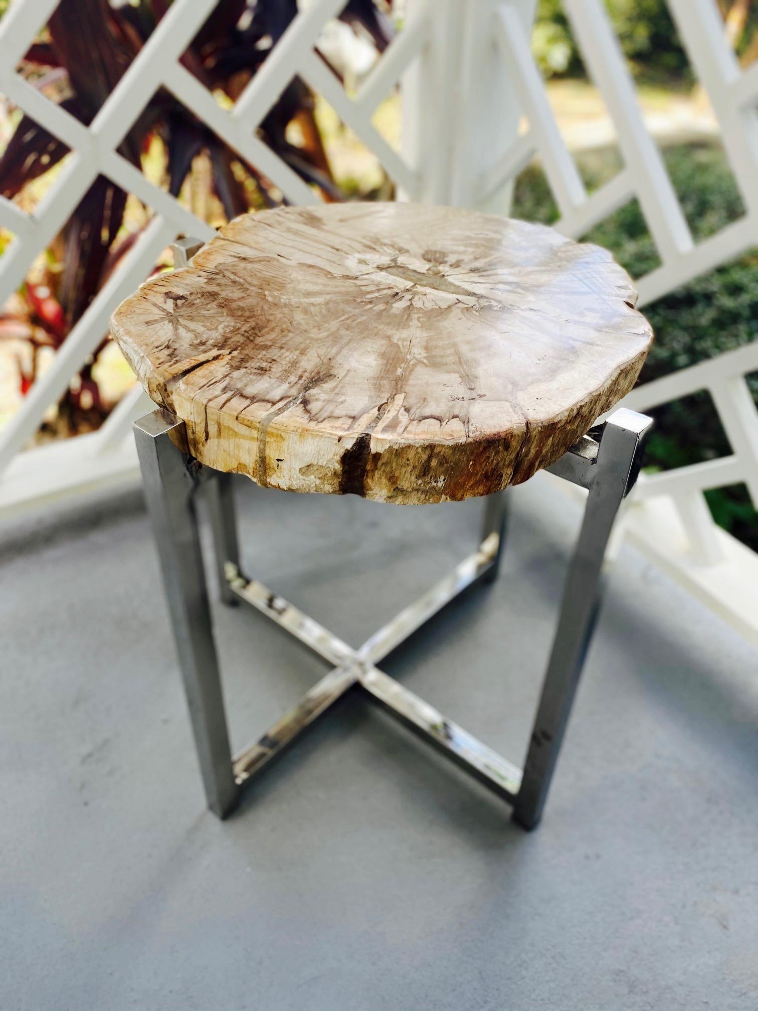 Chrome Organic Modern Petrified Wood Slab Side Table, Indonesia, circa 2018