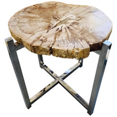 Organic Modern Petrified Wood Slab Side Table, Indonesia, circa 2018