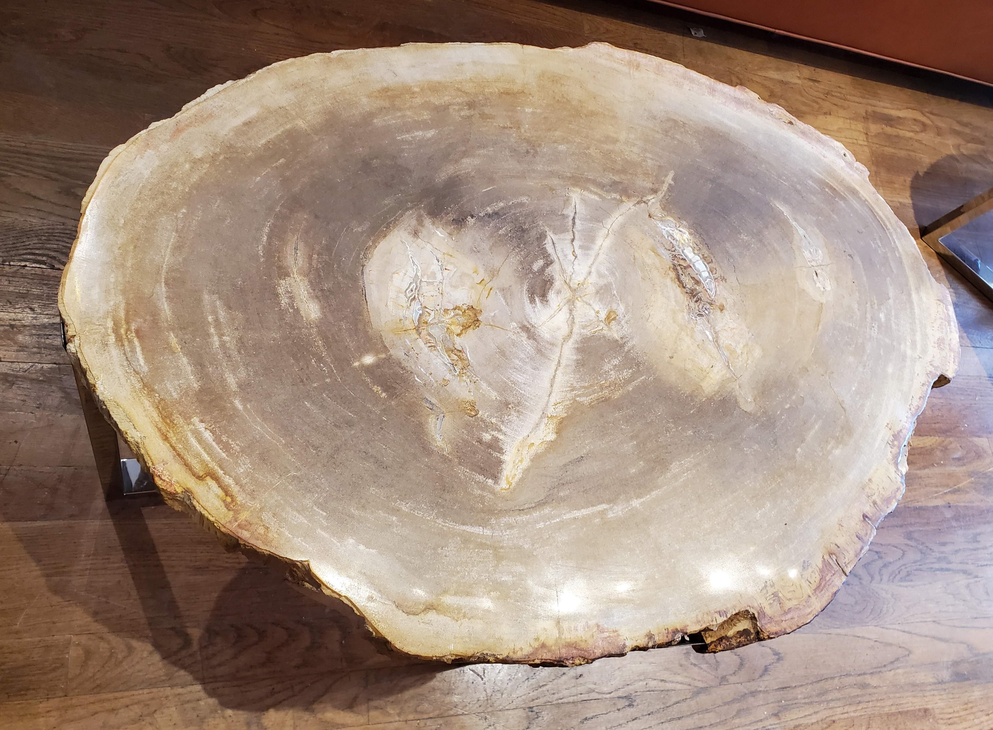 A beautiful mix of modern style and natural history, this unusual side table has a 160 million year old petrified wood top with a chrome base. Not only functional but sure to be a conversation piece for your room.
Measures: 18.5