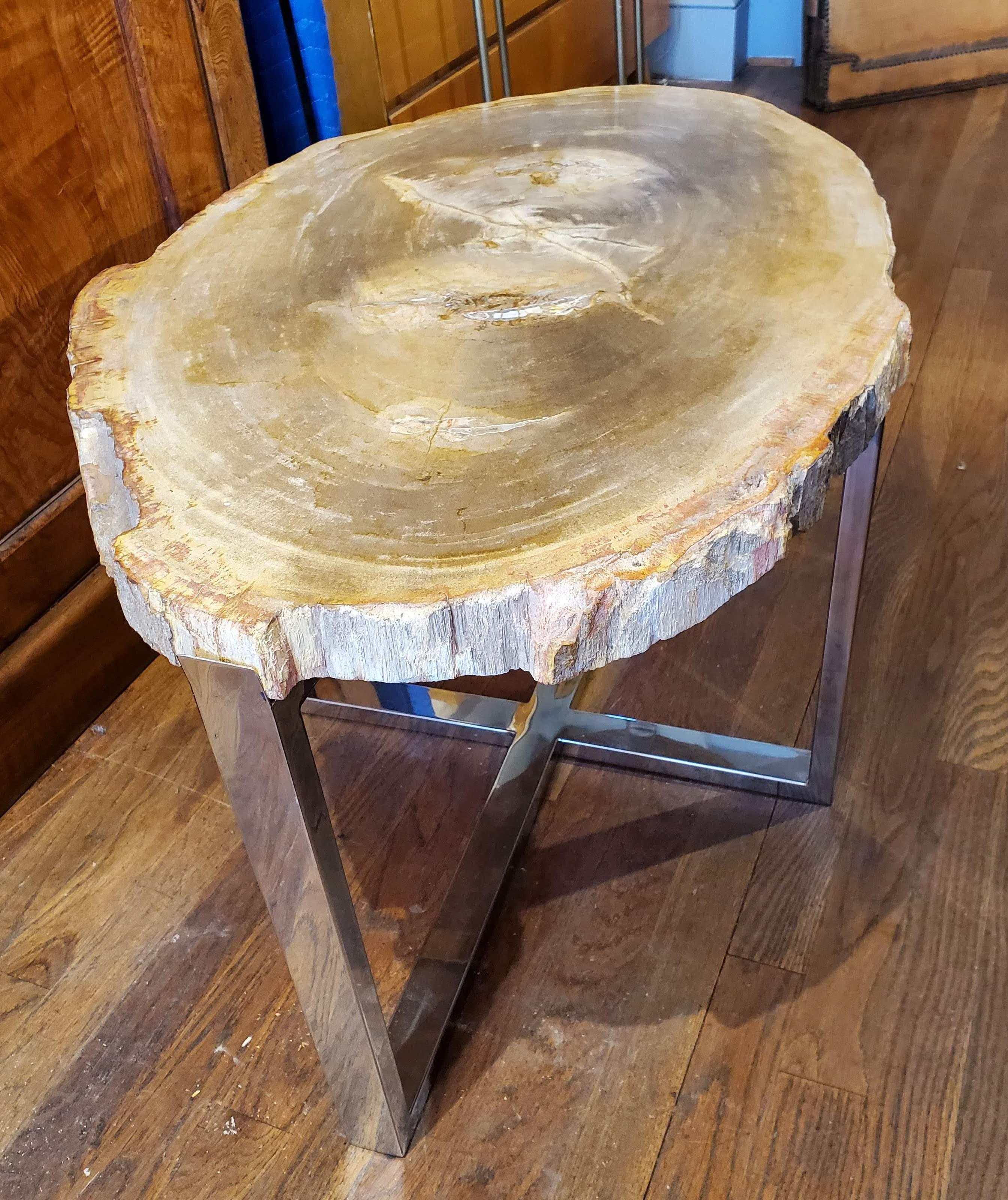 Organic Modern Petrified Wood Side Table with Chrome Base 1