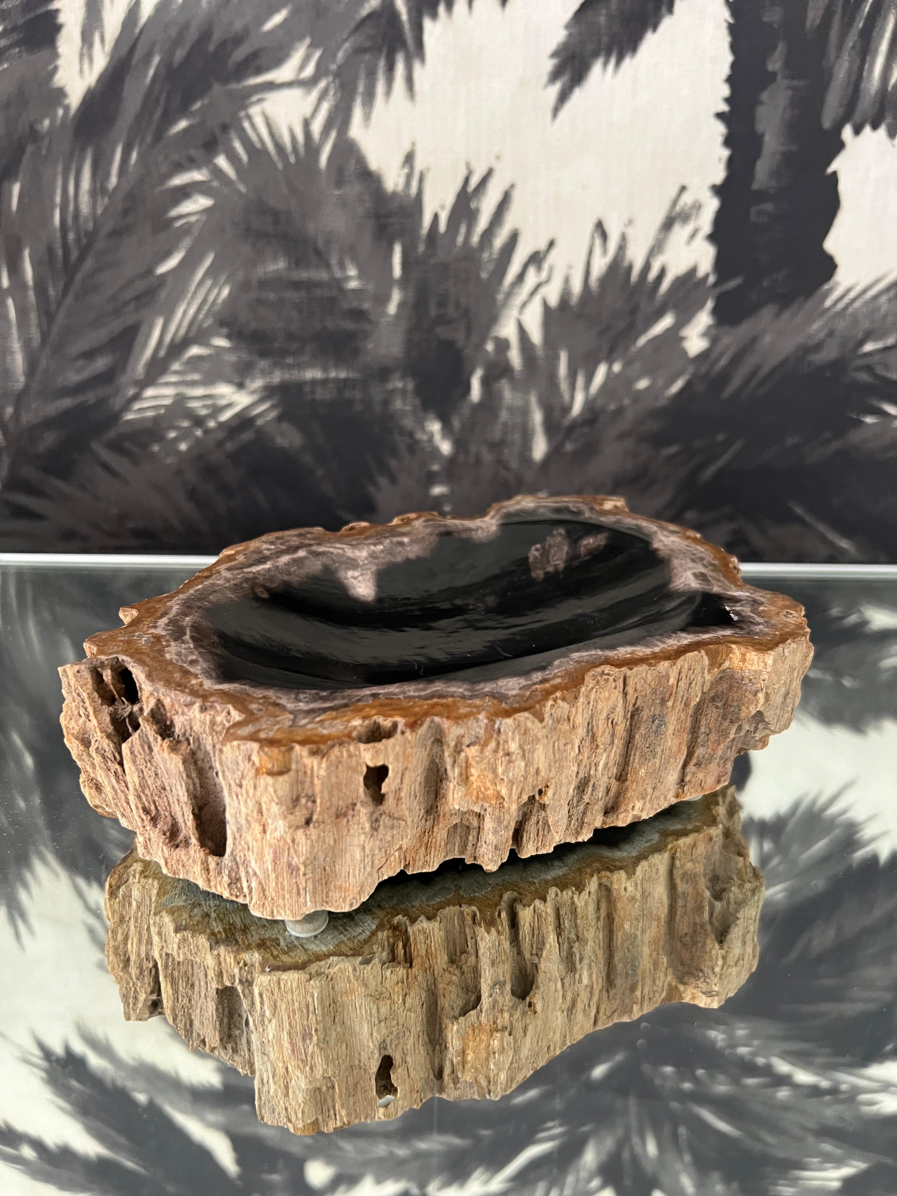 Indonesian Organic Modern Petrified Wood Vide-Poche Bowl with Live Edge