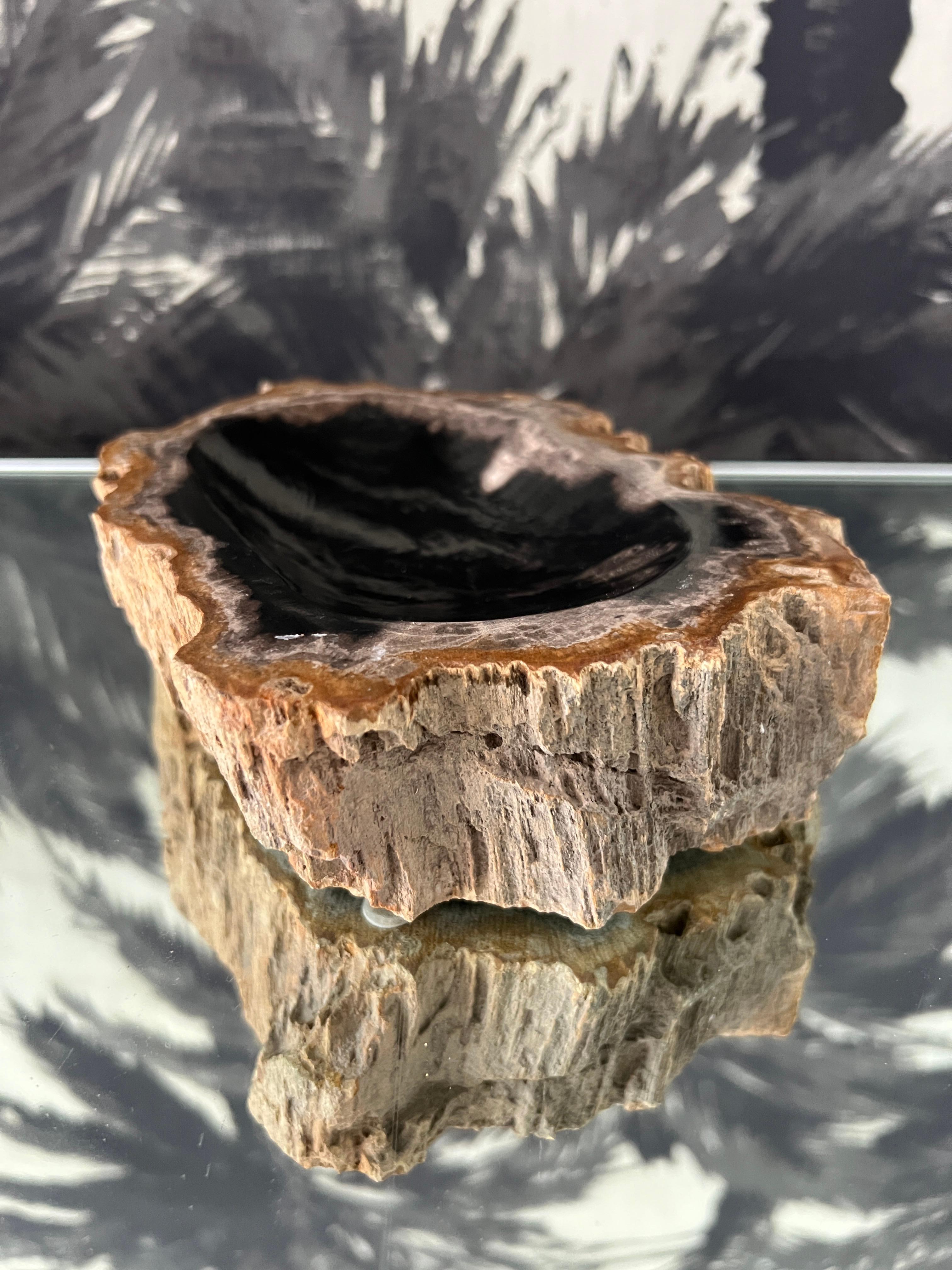 Polished Organic Modern Petrified Wood Vide-Poche Bowl with Live Edge