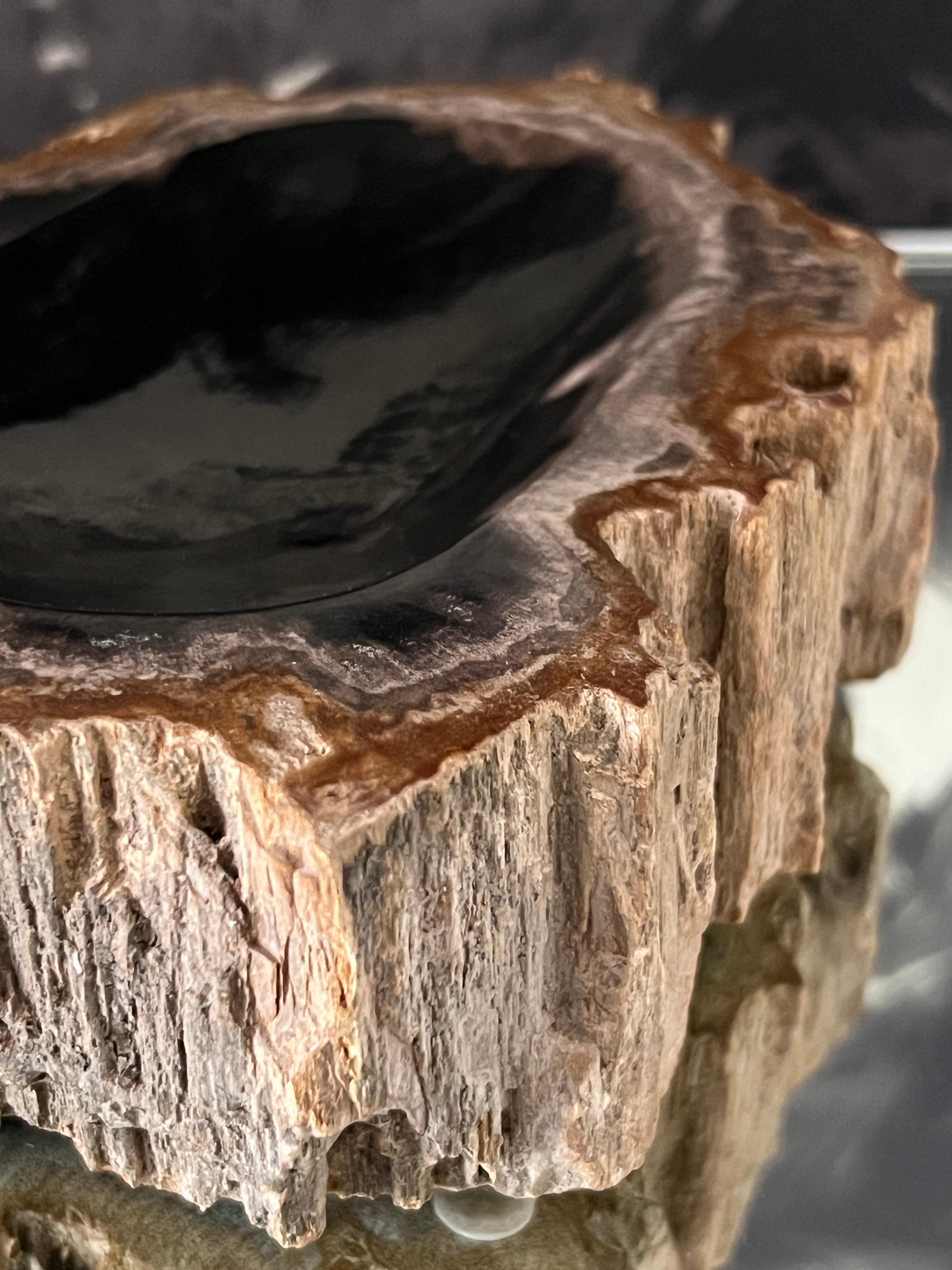 Organic Modern Petrified Wood Vide-Poche Bowl with Live Edge In Good Condition In Fort Lauderdale, FL