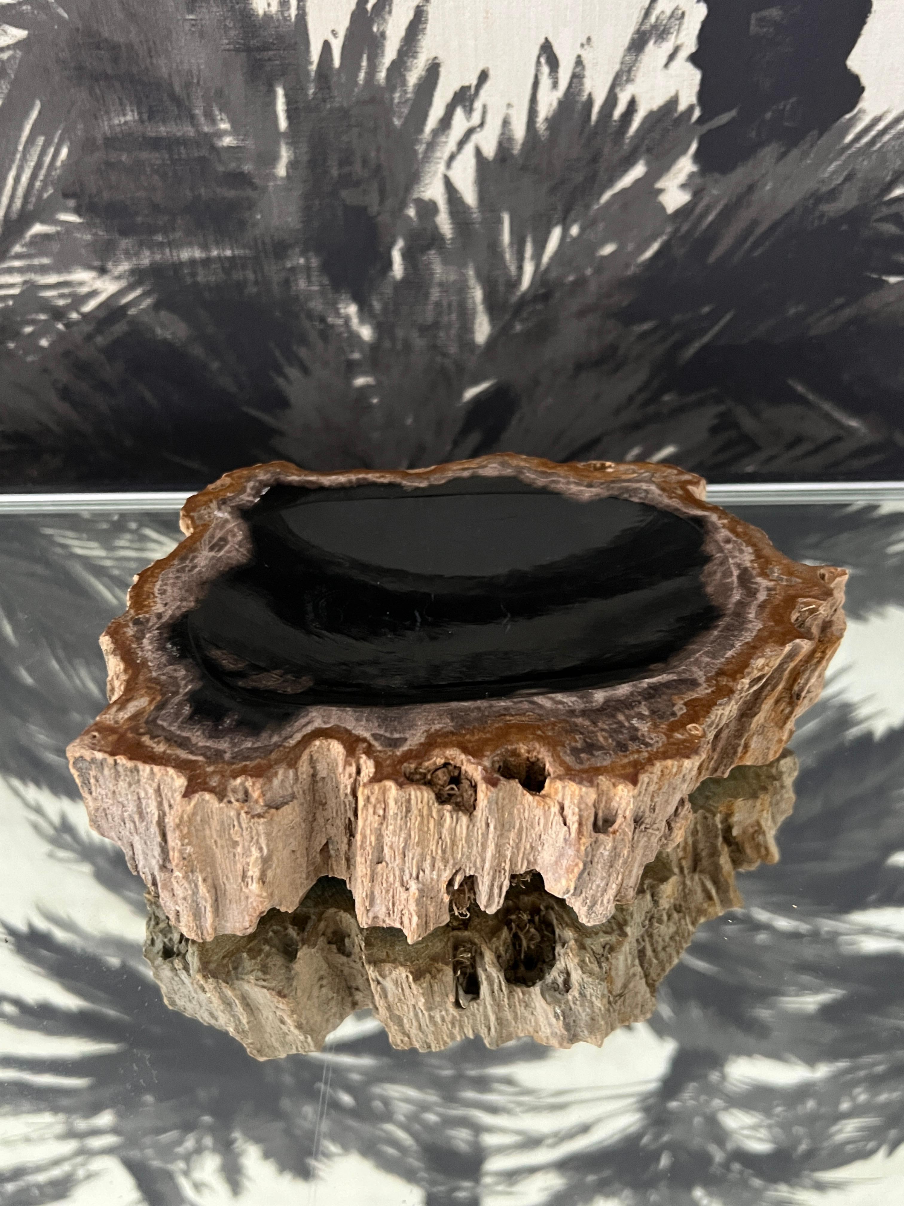 18th Century and Earlier Organic Modern Petrified Wood Vide-Poche Bowl with Live Edge