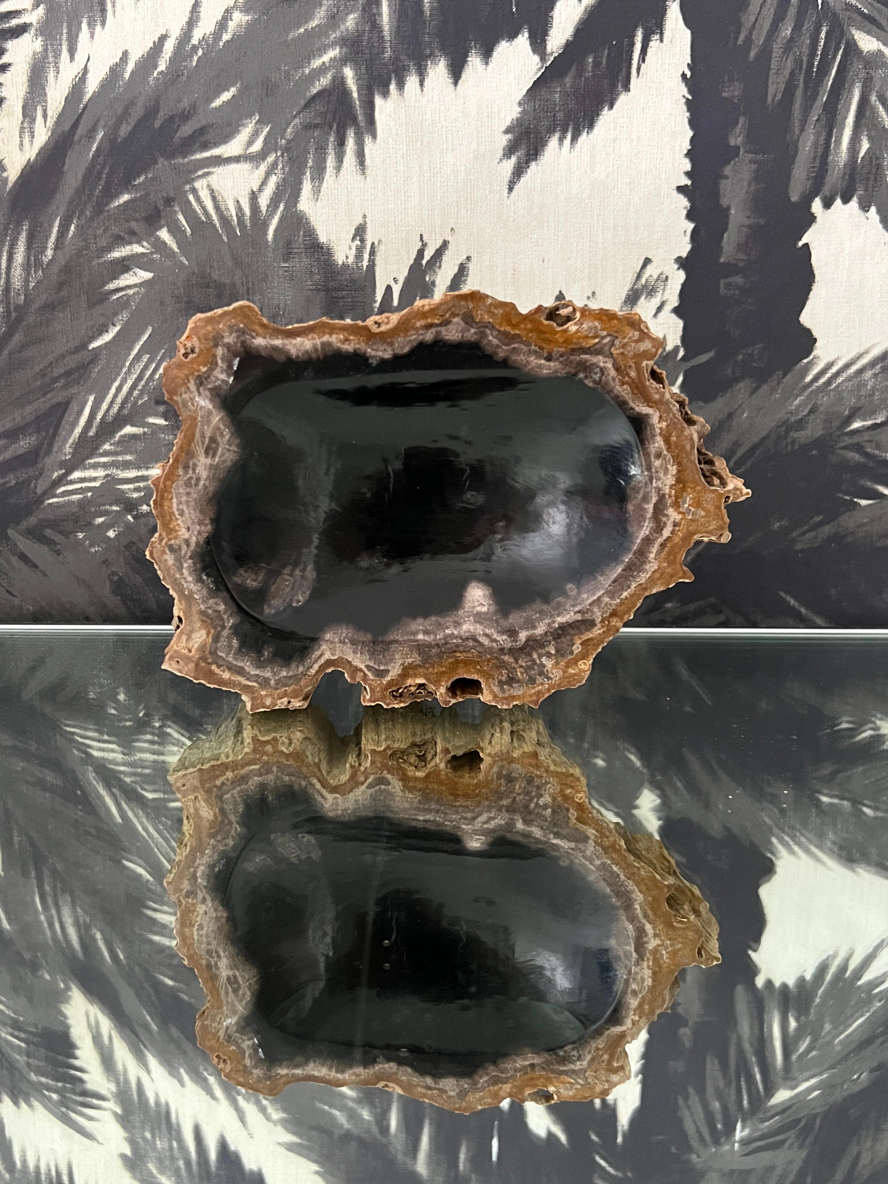 Organic Modern Petrified Wood Vide-Poche Bowl with Live Edge 1