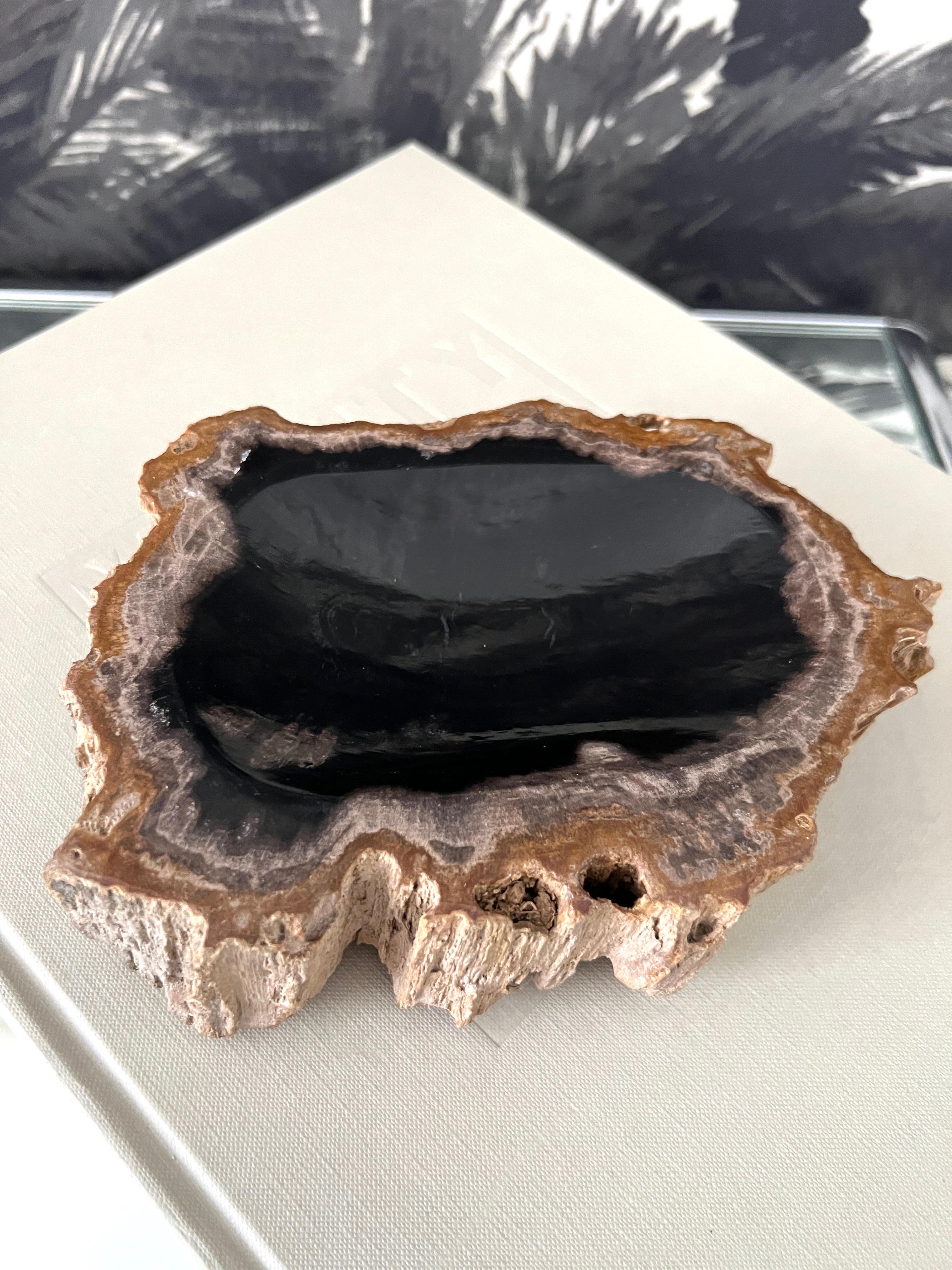 Organic Modern Petrified Wood Vide-Poche Bowl with Live Edge 2