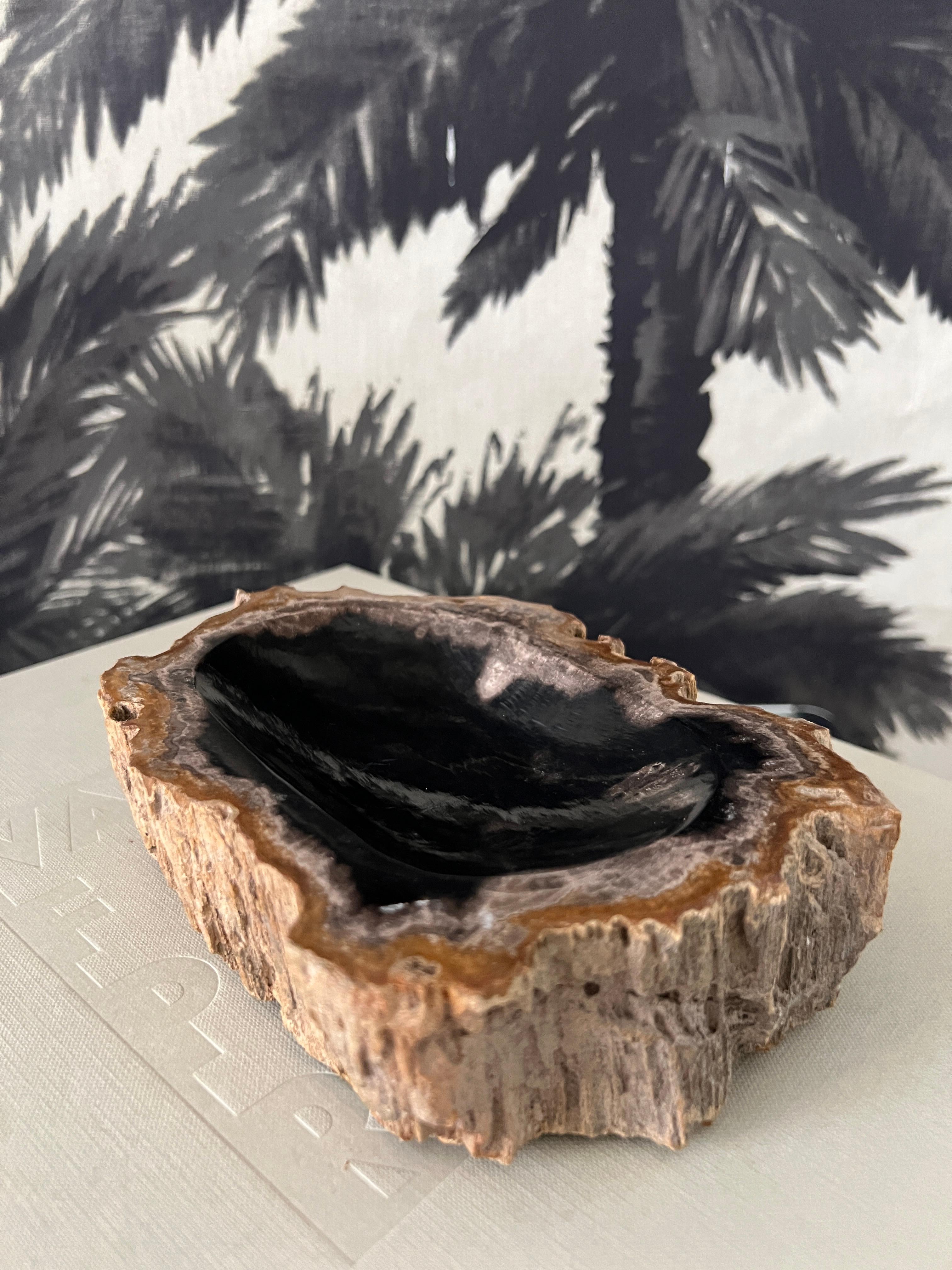 Organic Modern Petrified Wood Vide-Poche Bowl with Live Edge 3