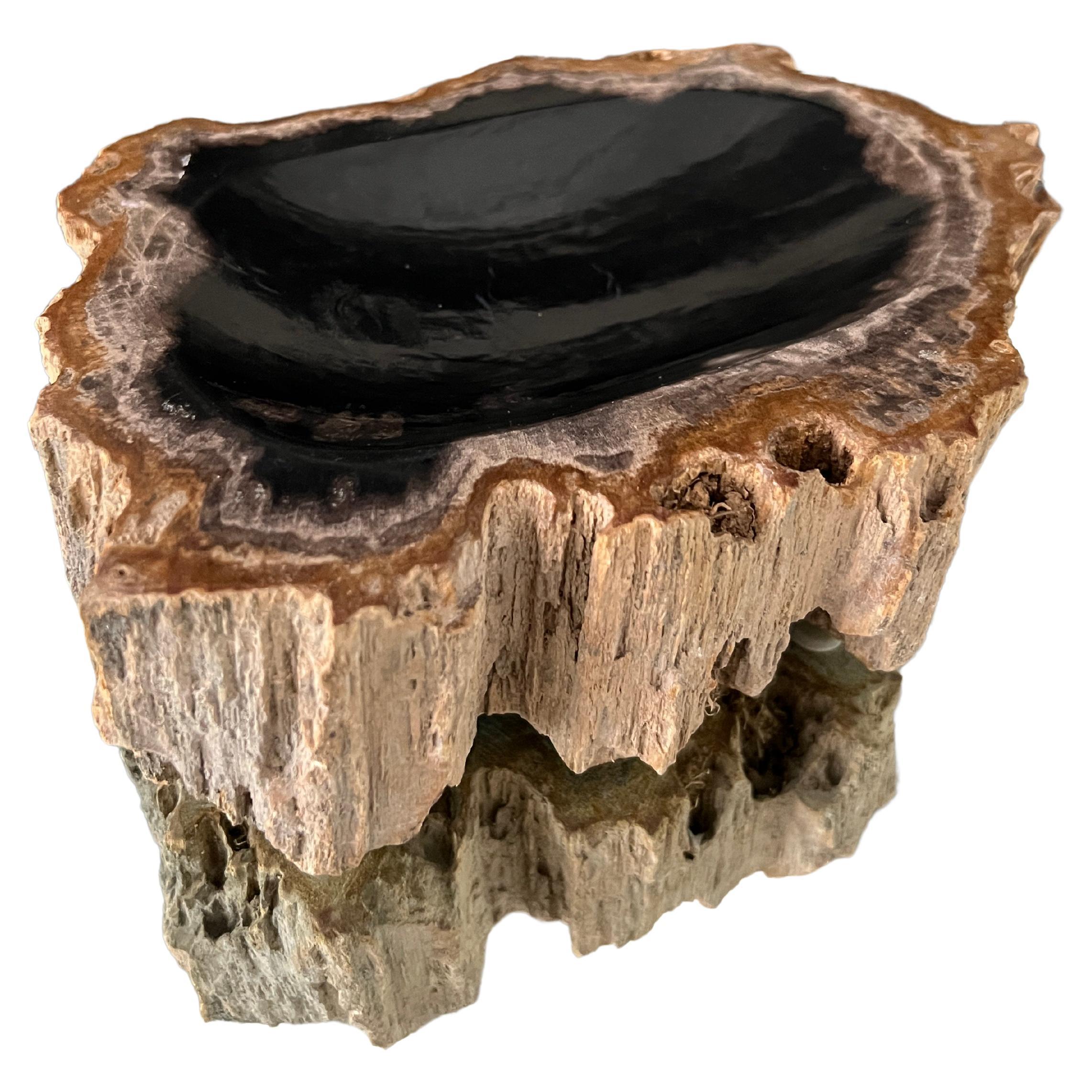 Organic Modern Petrified Wood Vide-Poche Bowl with Live Edge