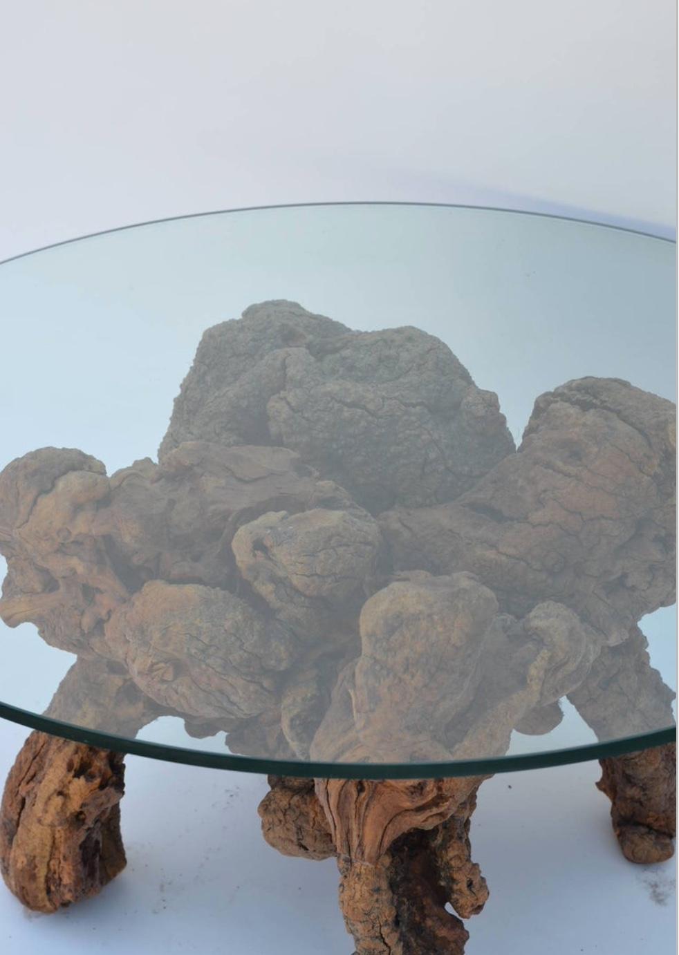 Organic Modern Quadripod Bog Wood and Glass Coffee Table For Sale 1