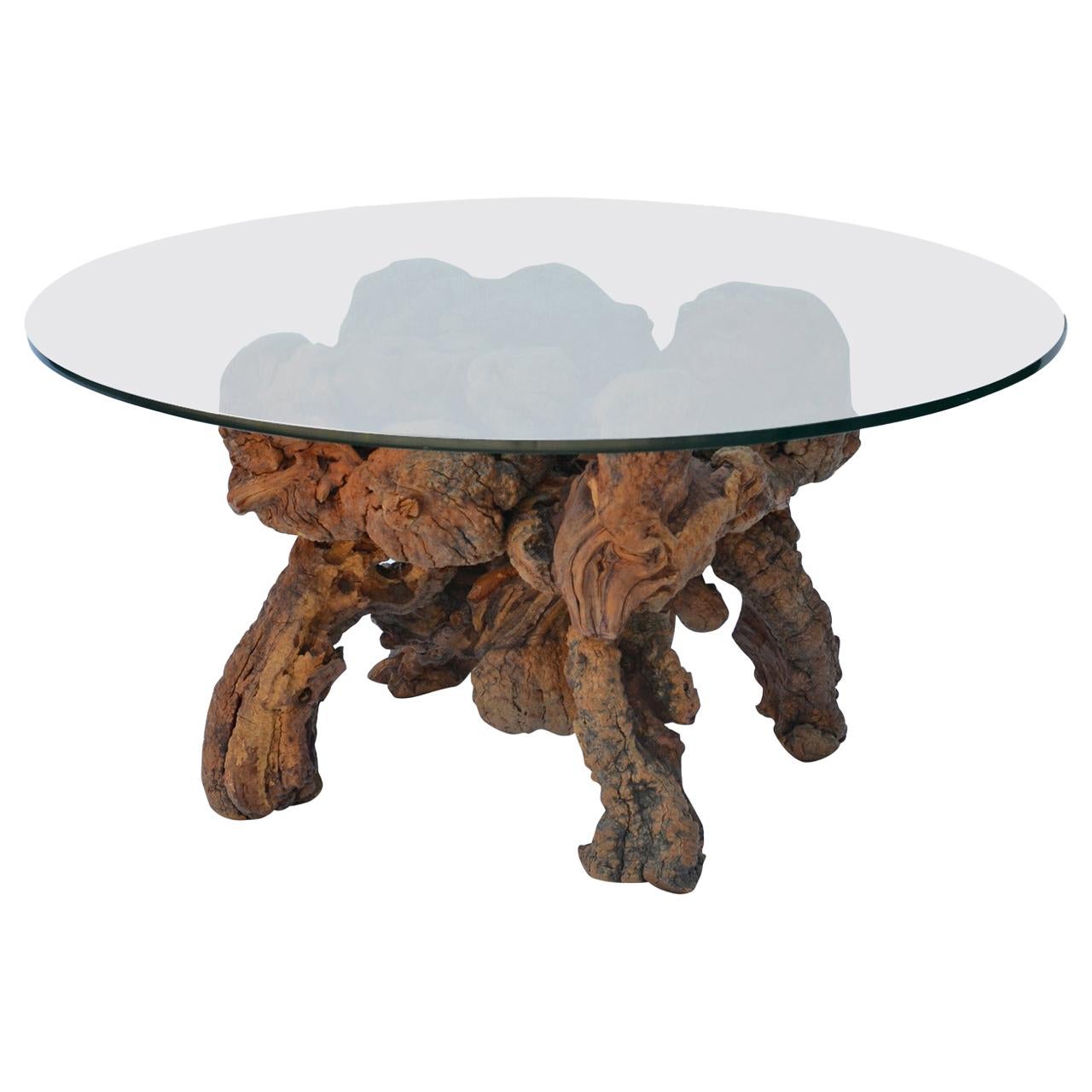Mesa de centro cuadrípode moderna orgánica de madera de bog y cristal