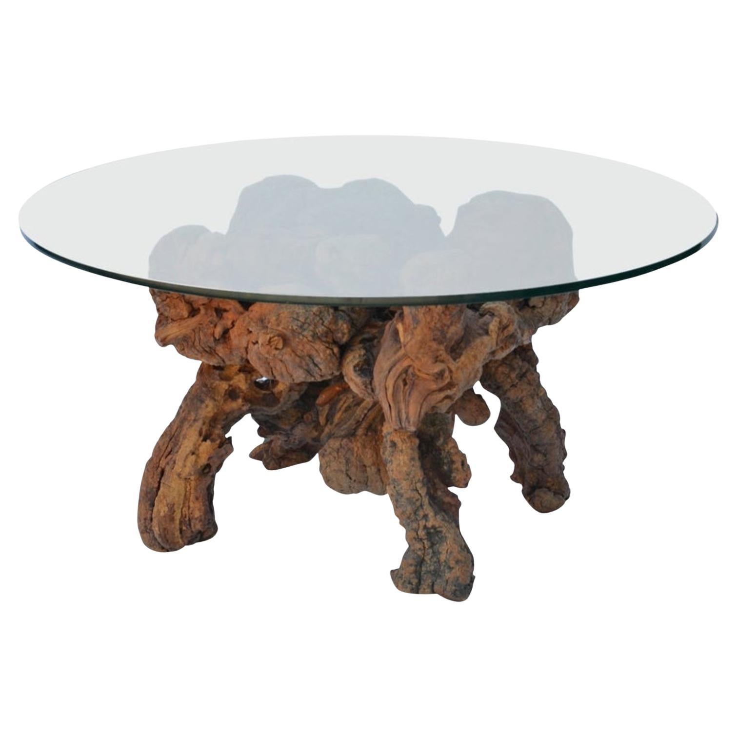 Organic Modern Quadripod Bog Wood and Glass Coffee Table For Sale