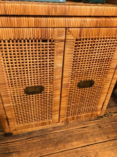 Organic Modern Rattan Zweiteiliges Bcherregal Schrank