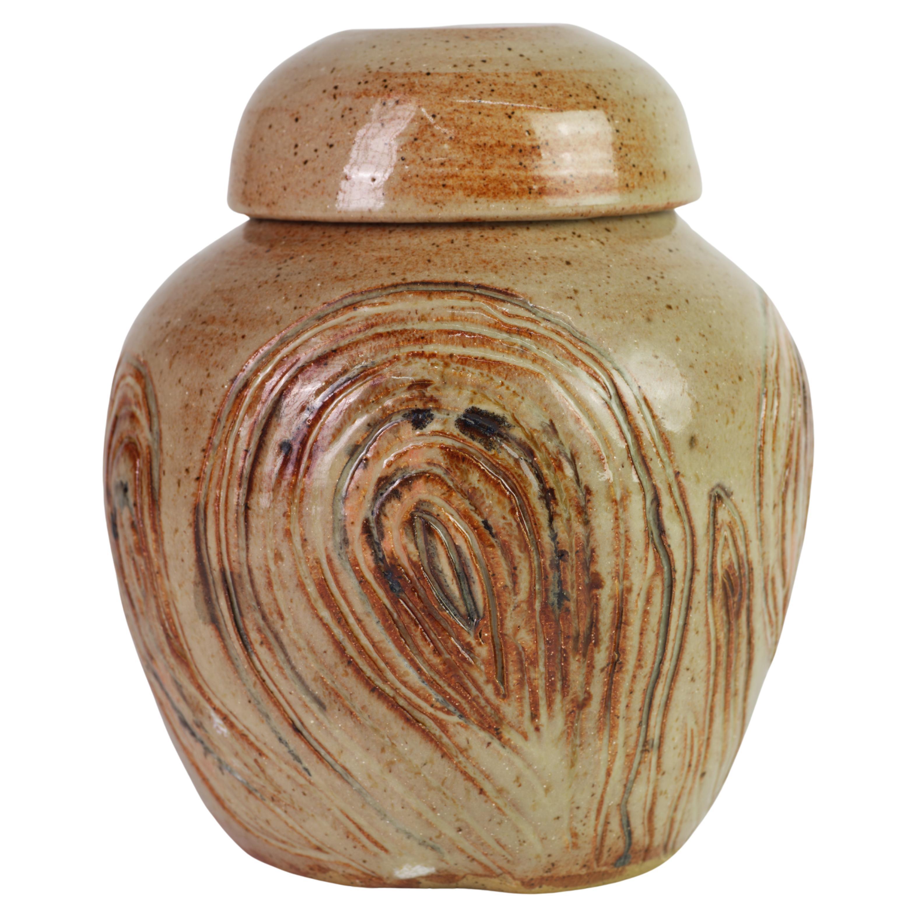 Vasetto di zenzero organico moderno Scraffito, American Art Studio Pottery in vendita
