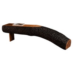 Organic Modern Sculptural Walnut Bench in Black by Sergio Vulpe