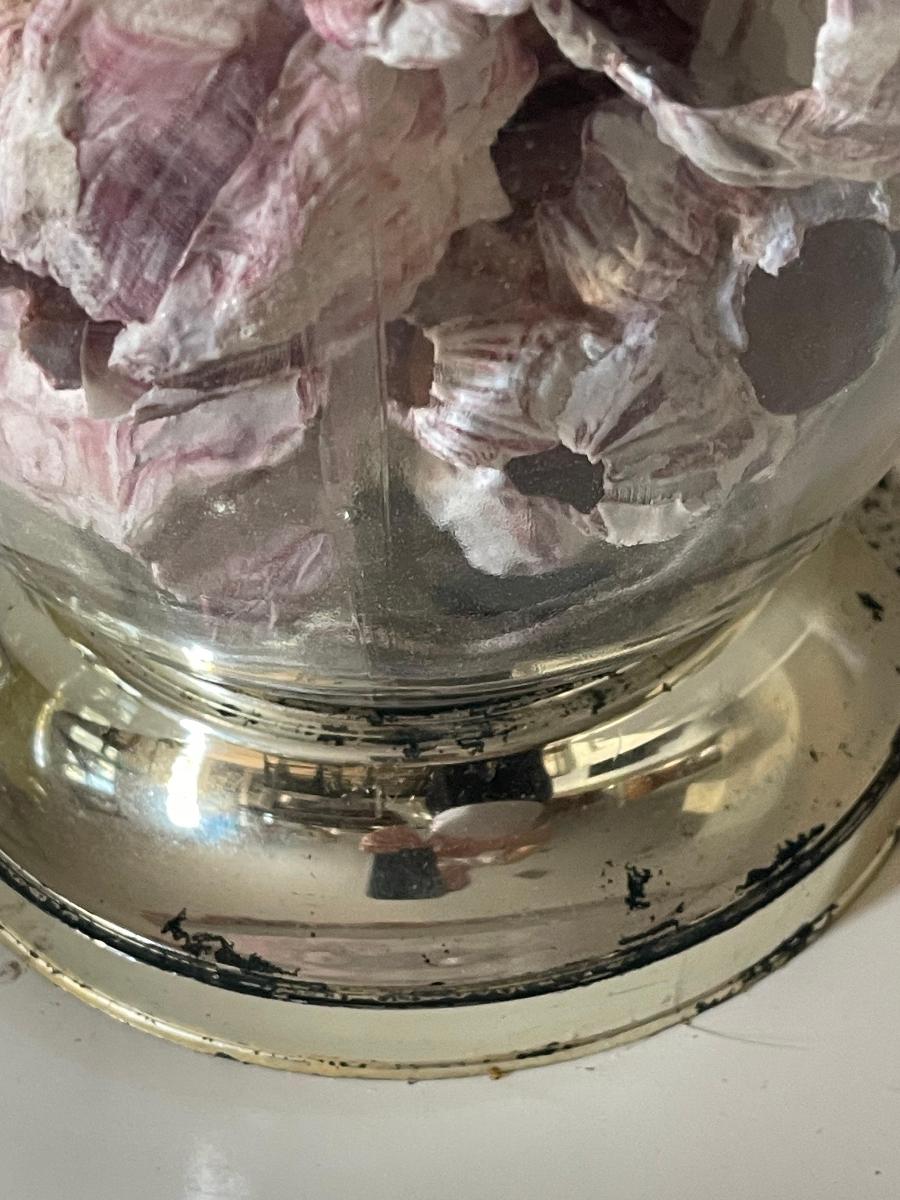 Organic Modern Sea Shells Barnacle Ginger Jar  Lamp For Sale 4