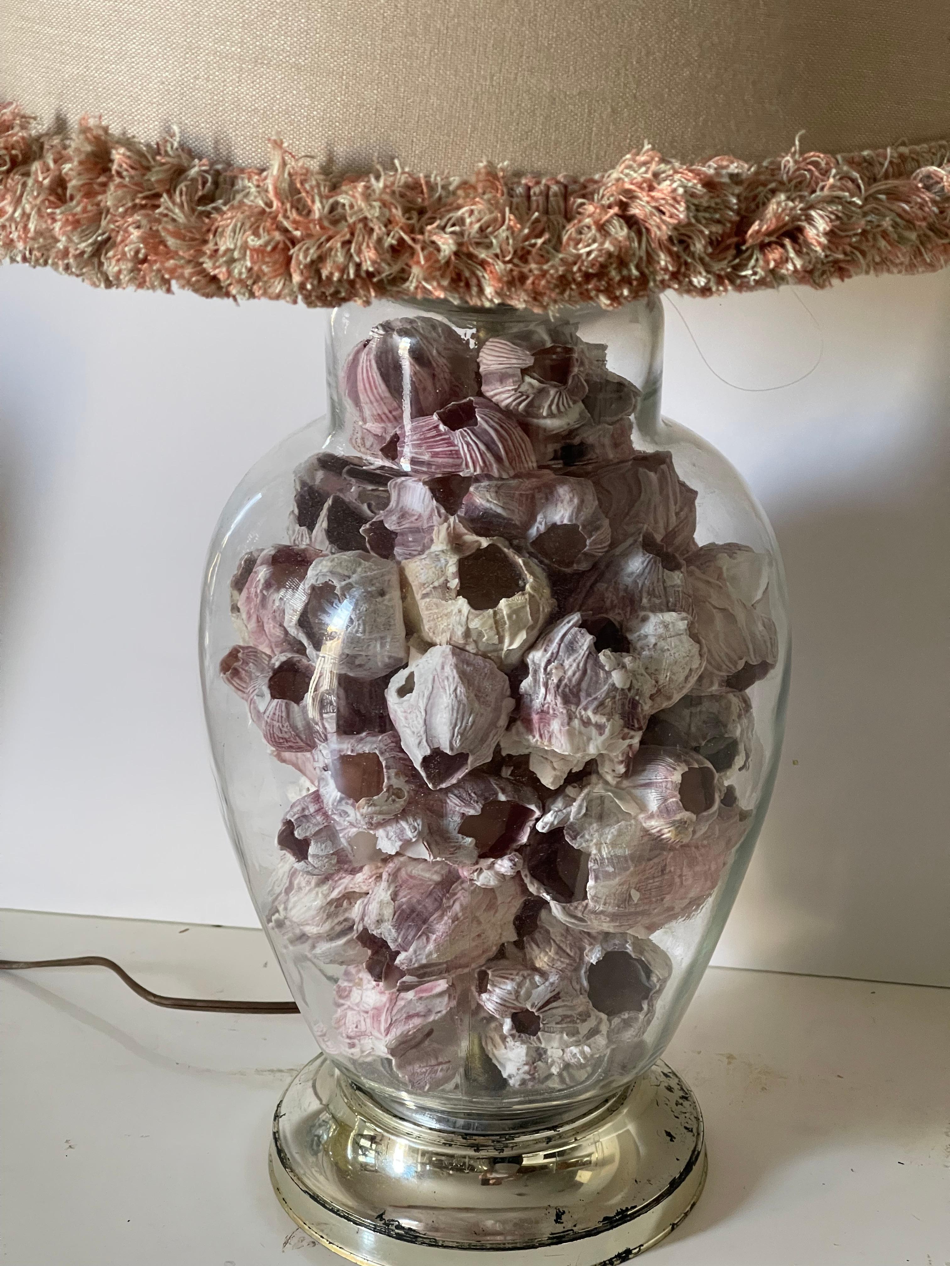 Organic Modern Sea Shells Barnacle Ginger Jar  Lamp For Sale 2