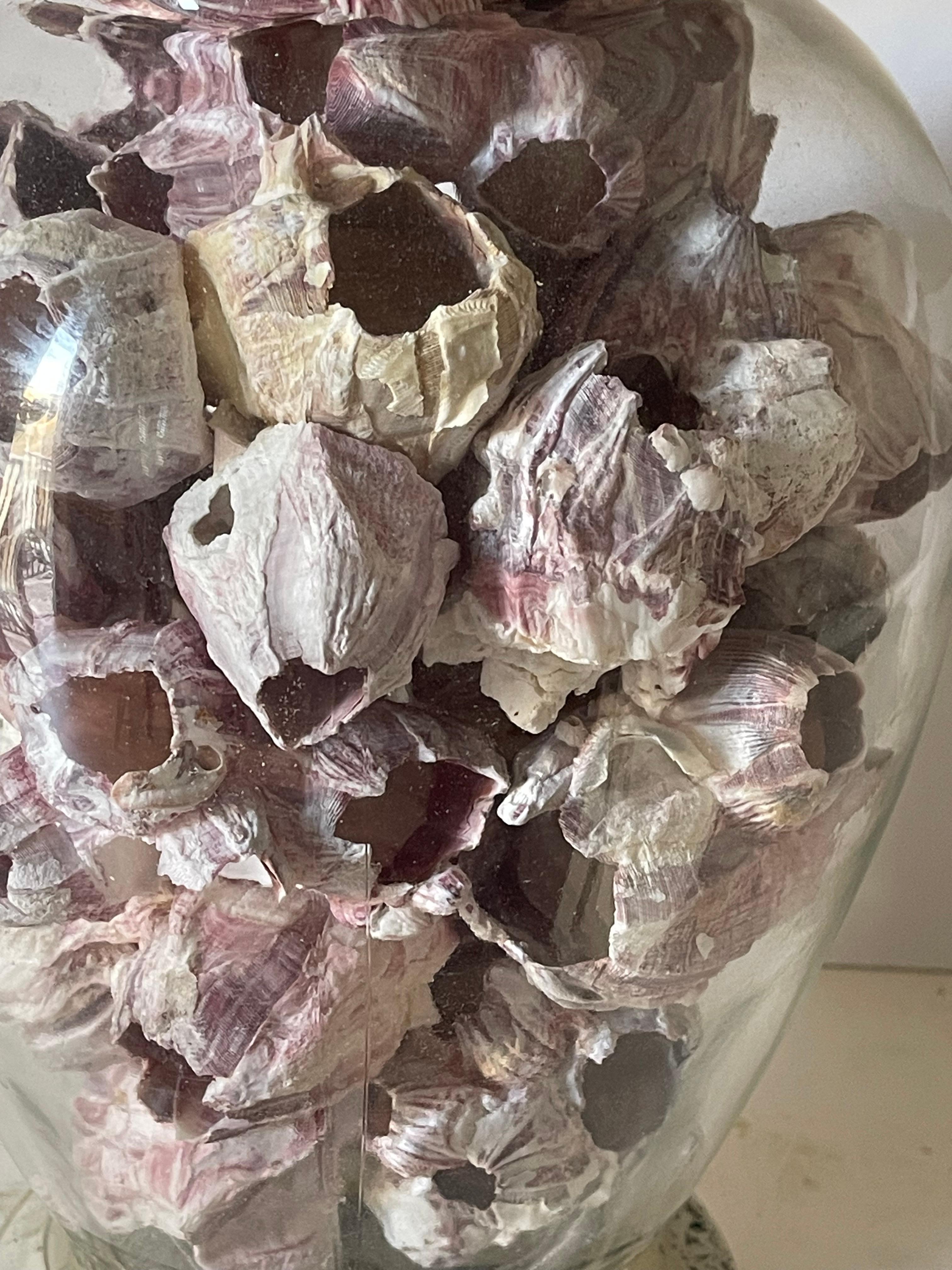 Organic Modern Sea Shells Barnacle Ginger Jar  Lamp For Sale 3