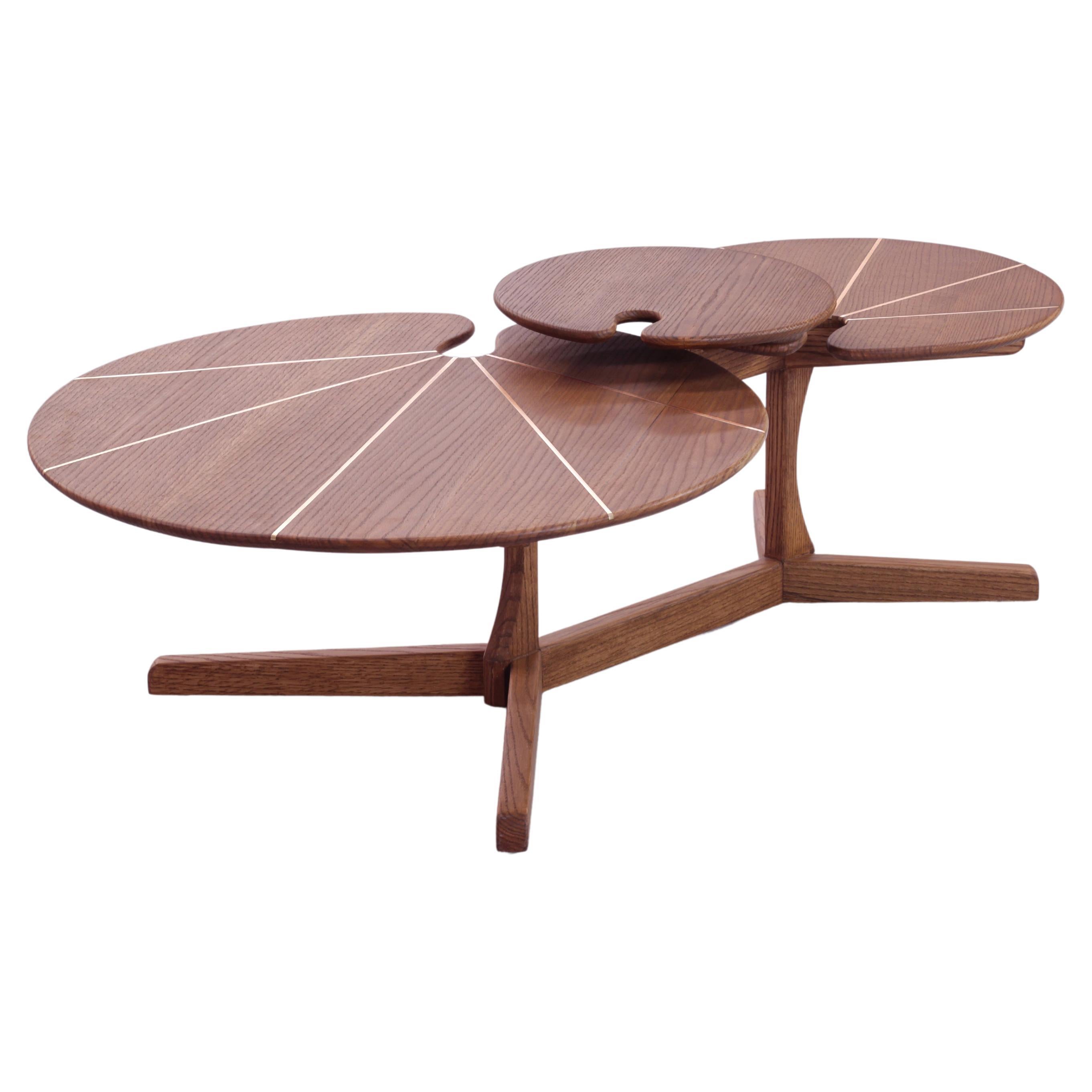 Contemporary Gold Leaf Inlay Coffee Table with Brass Frame at 1stDibs