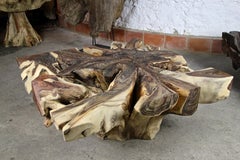 Organic Modern Sonokeling Wood Root Coffee Table