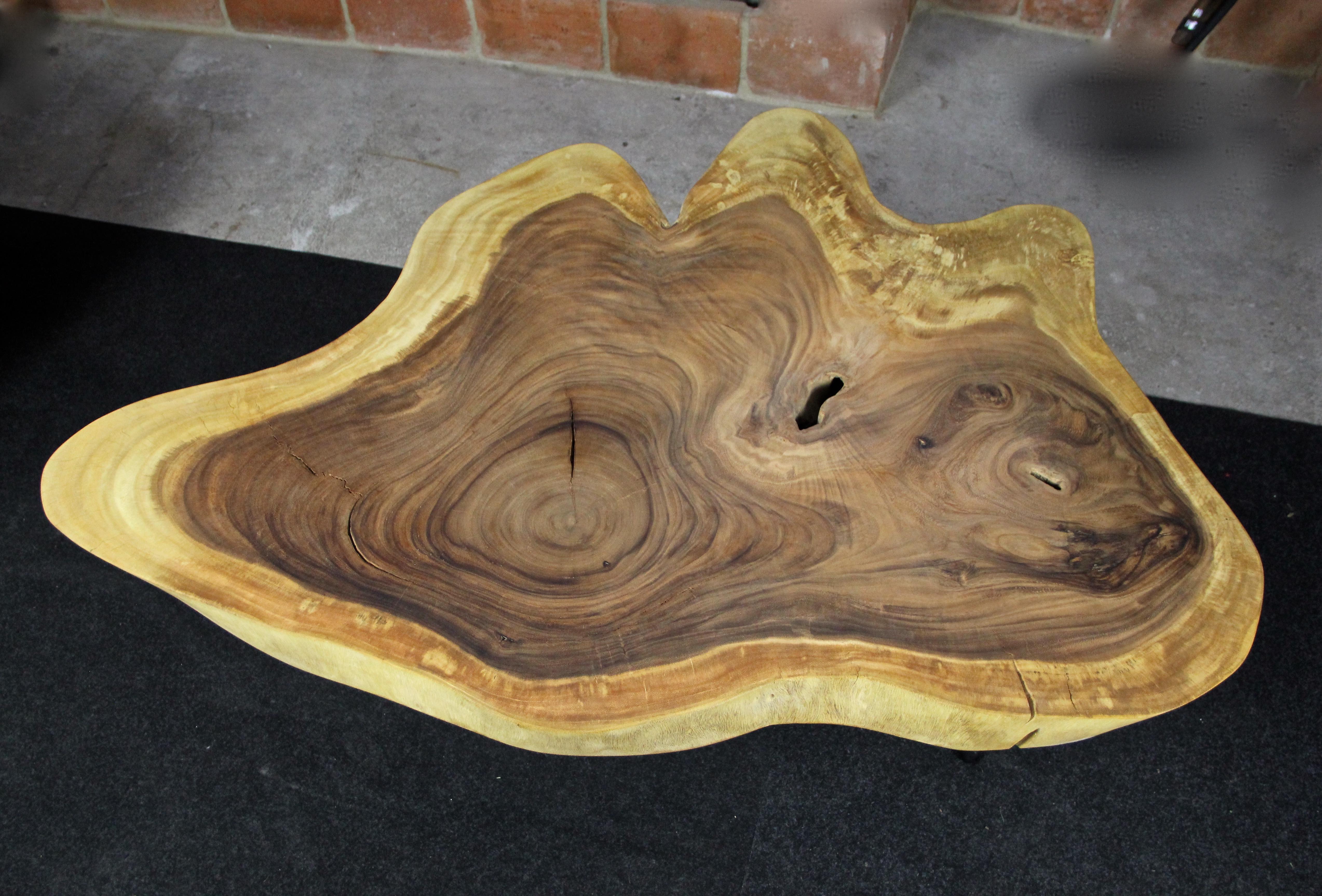Wood Organic Modern Suar Tree Coffee Table on Black Metal Feet For Sale