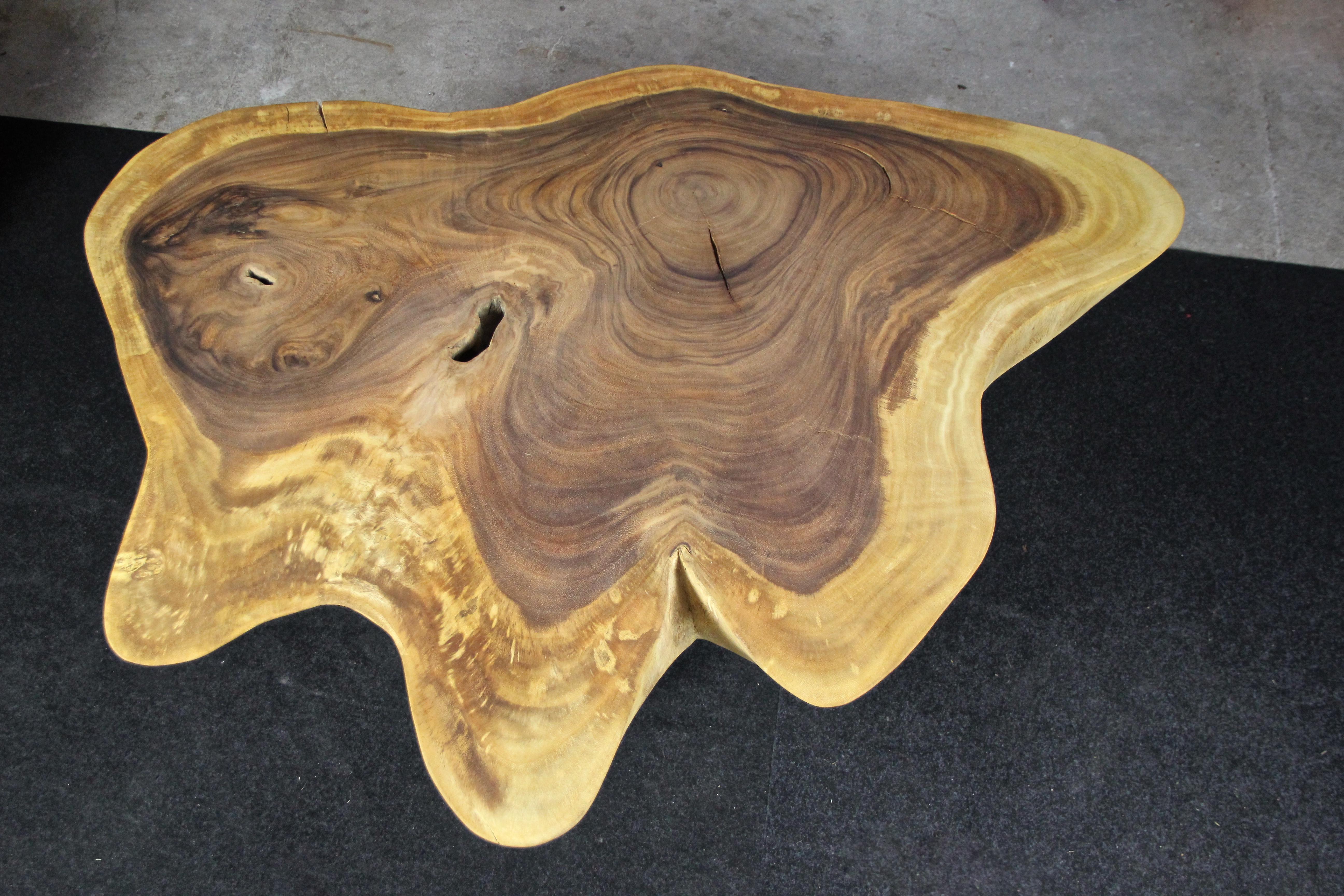 Out of the ordinary Suar tree coffee table on black metal feet. This organic modern table was cutout of a large Suar root and shows a beautiful contrasting grain. The fantastic natural shape in combination with three mat black coated steel feet