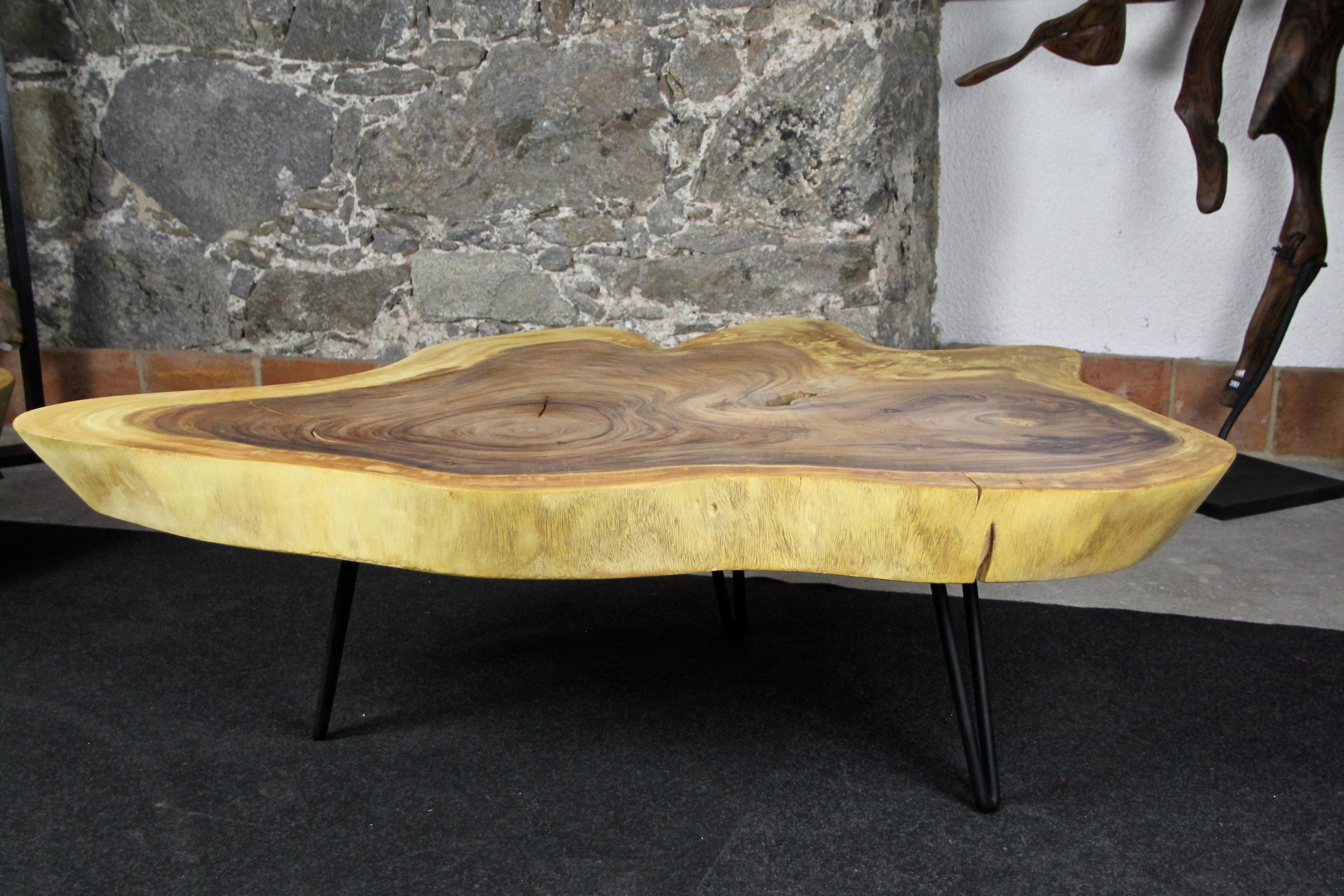 Contemporary Organic Modern Suar Tree Coffee Table on Black Metal Feet For Sale