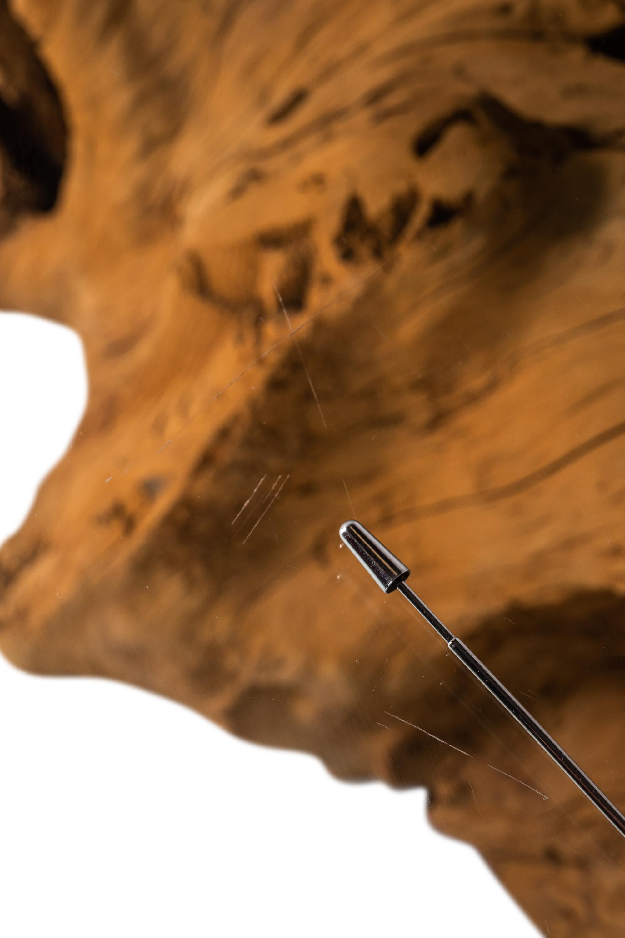 Organic Modern Substantial Glass-Top Dining Table With Cypress Tree Trunk Base 6