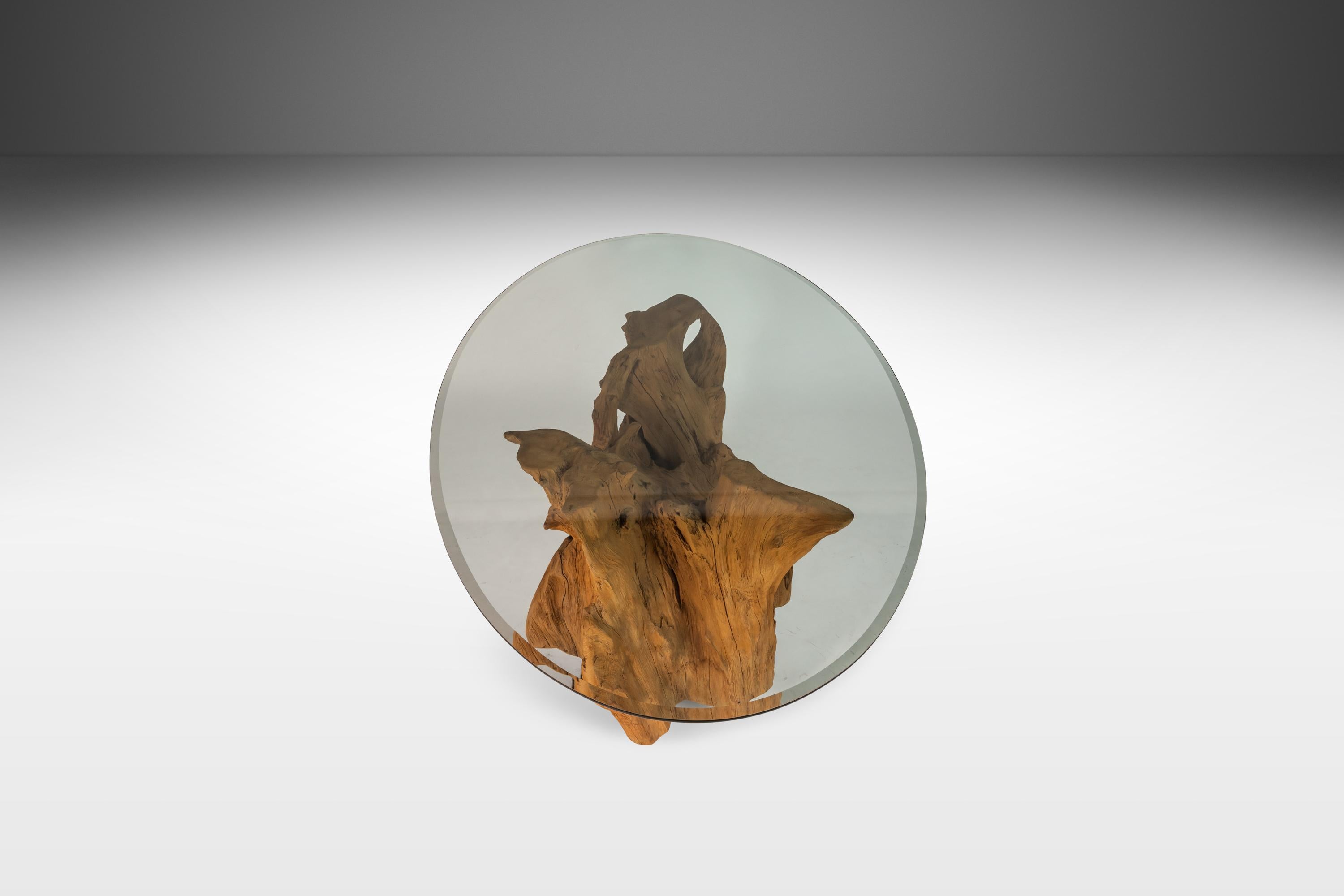 Organic Modern Substantial Glass-Top Dining Table With Cypress Tree Trunk Base 7