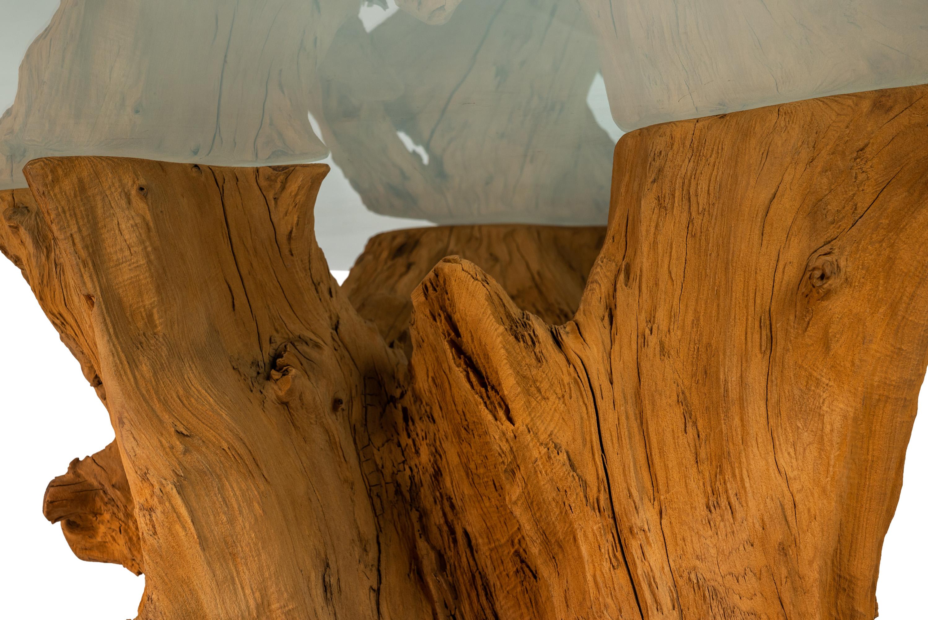 Organic Modern Substantial Glass-Top Dining Table With Cypress Tree Trunk Base 9