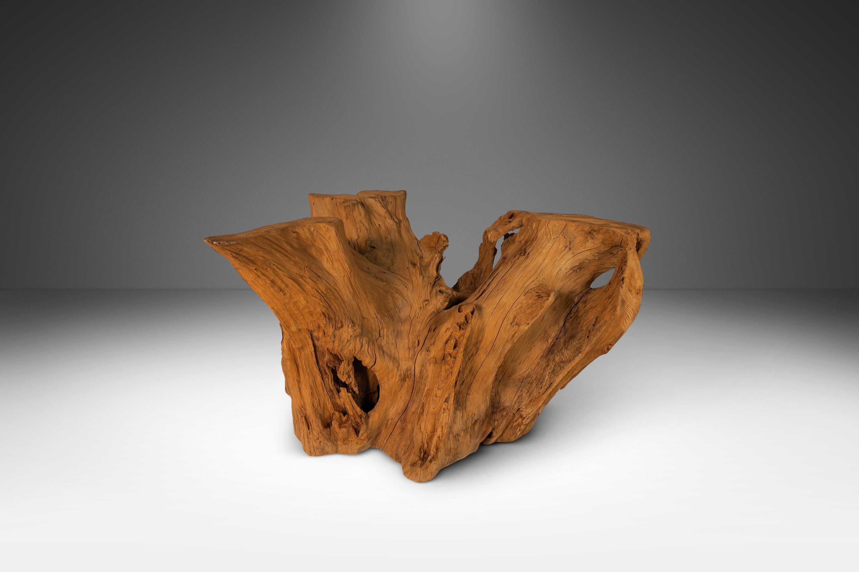 Organic Modern Substantial Glass-Top Dining Table With Cypress Tree Trunk Base 11